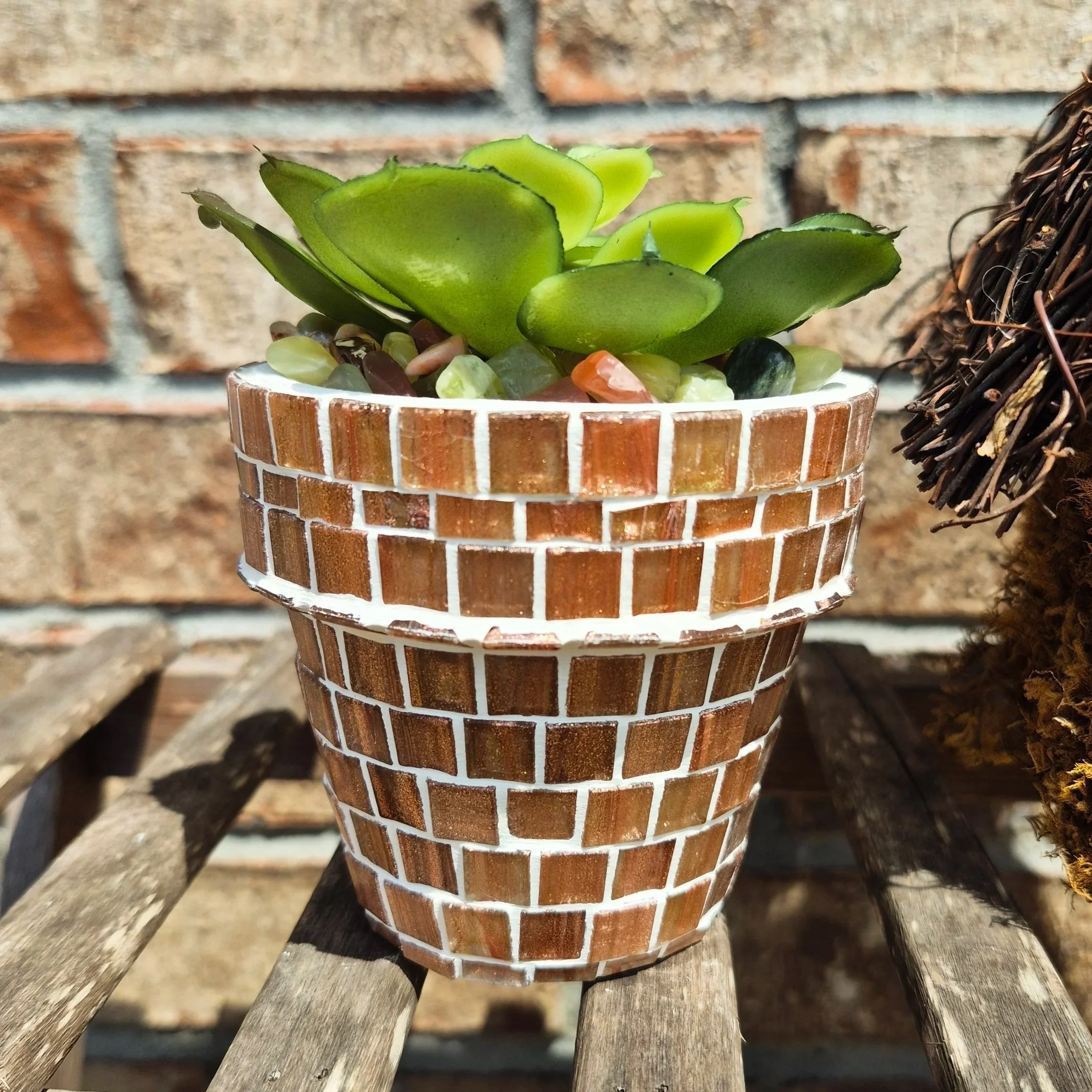 Close-up of a green succulent plant in a decorative terra cotta pot, sitting on a weathered wooden surface with a brick wall in the background.