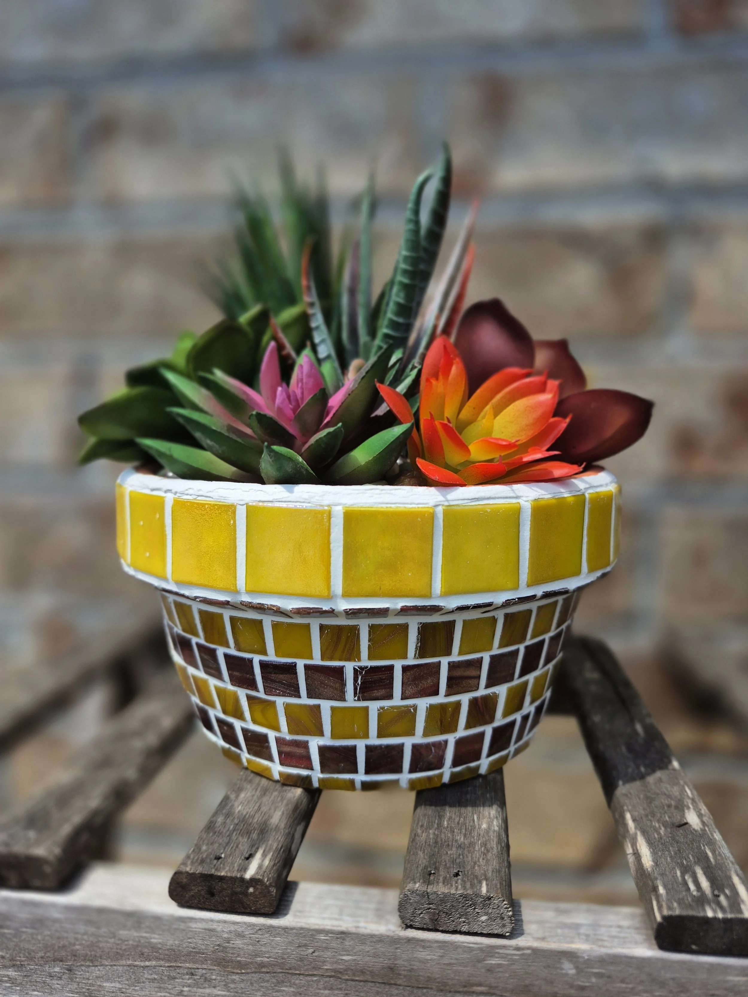 Desert Bloom Planter (Medium)