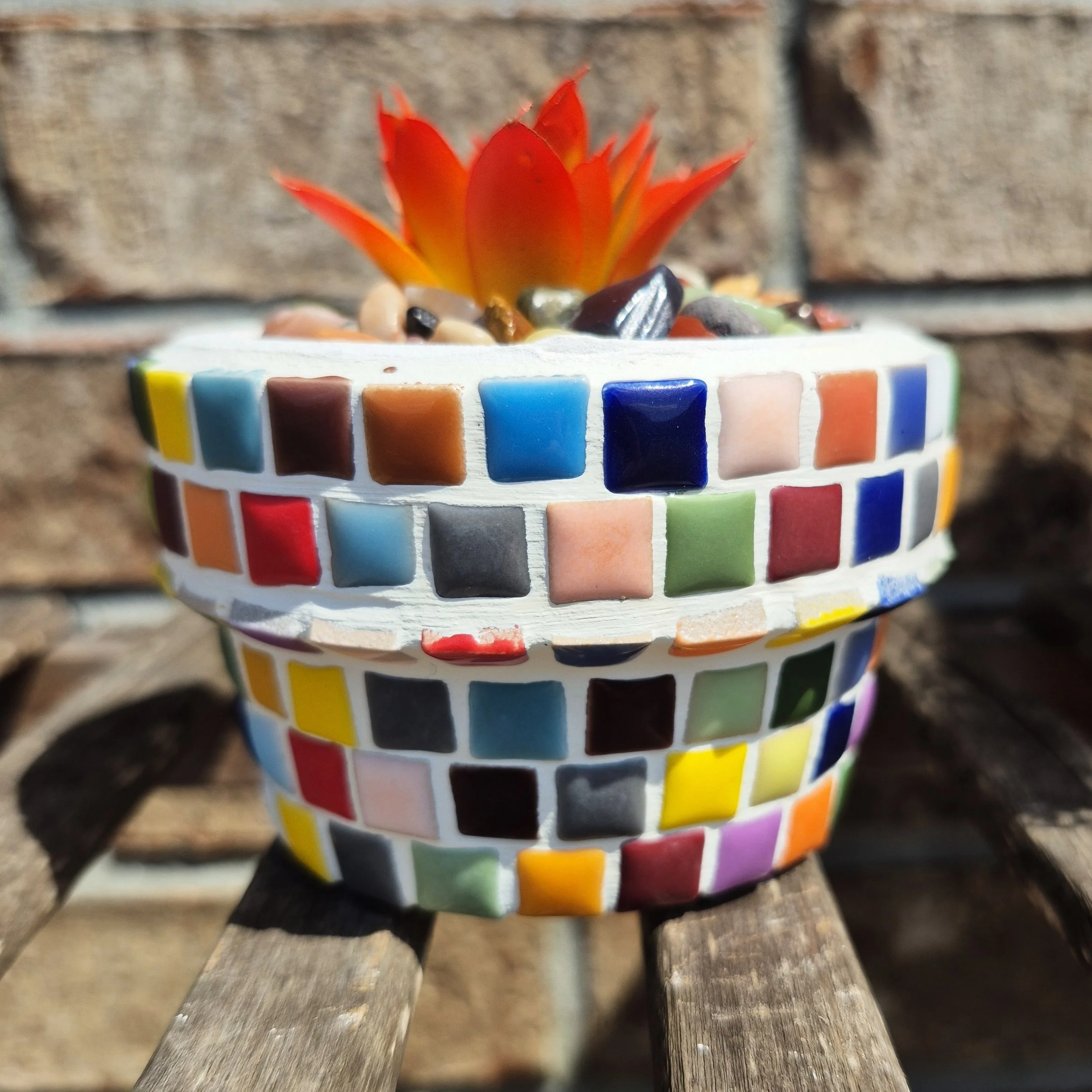 Confetti Planter {Extra-Small (Wide)}