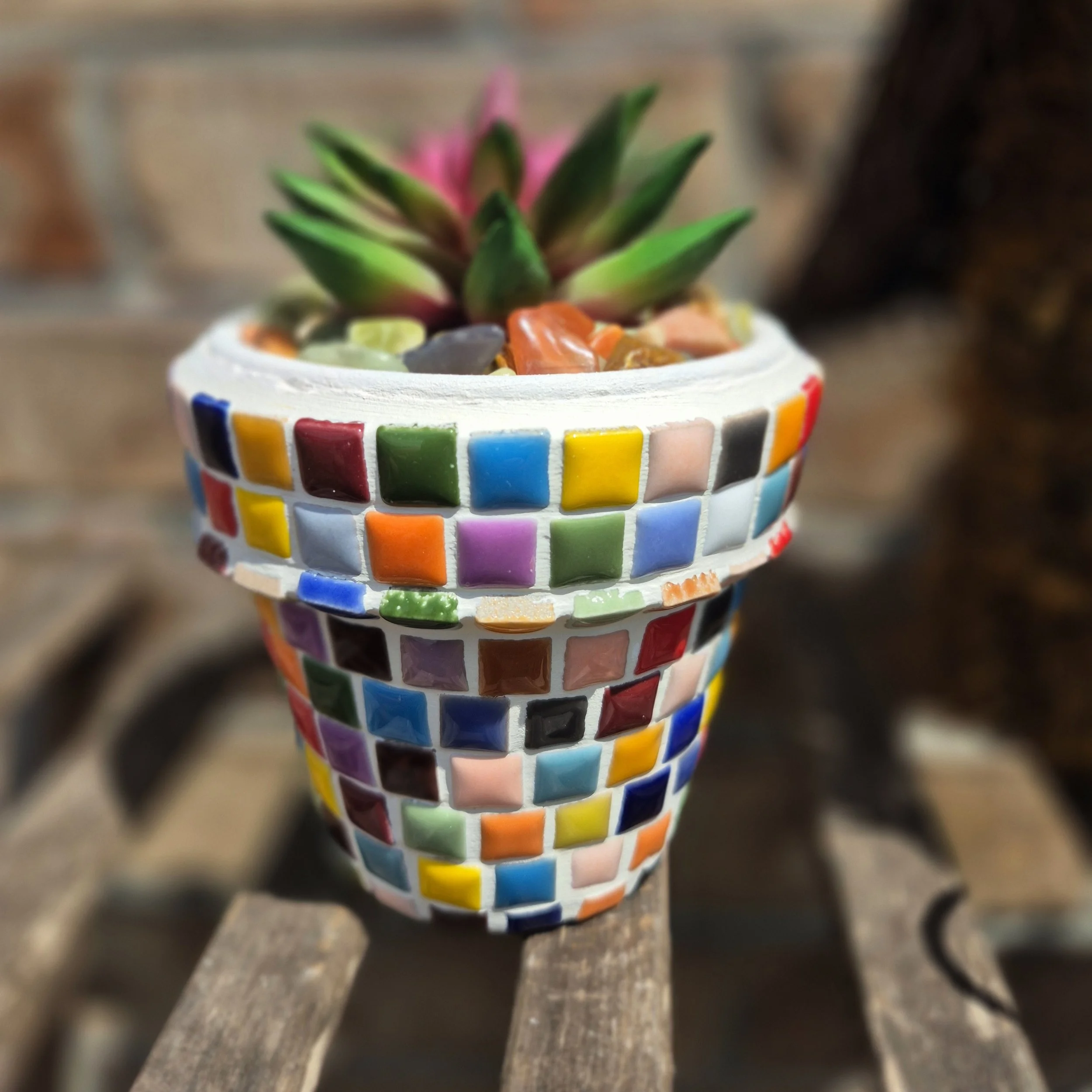Confetti Planter (Small)