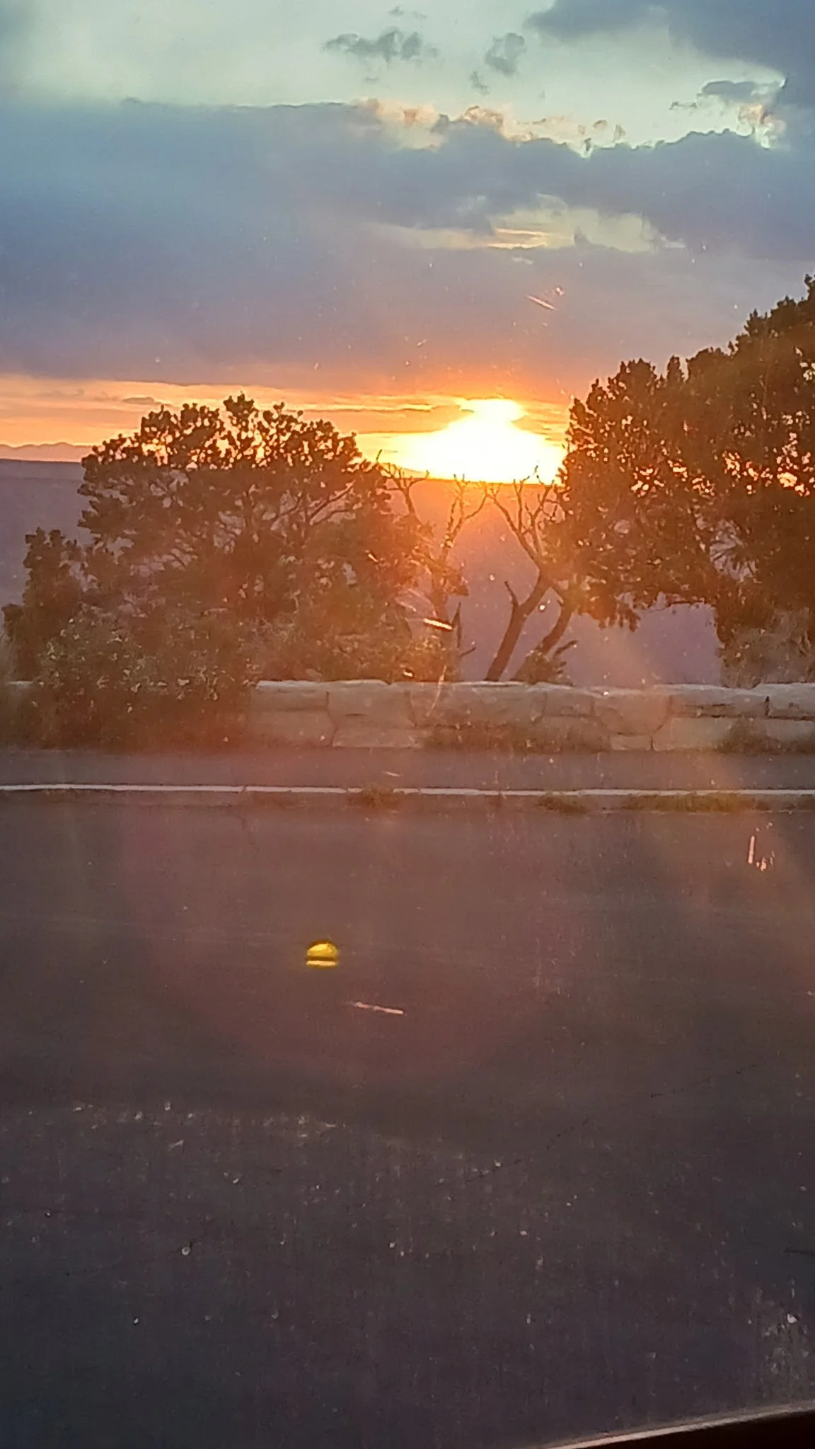 Grief and Loss Discussion Group