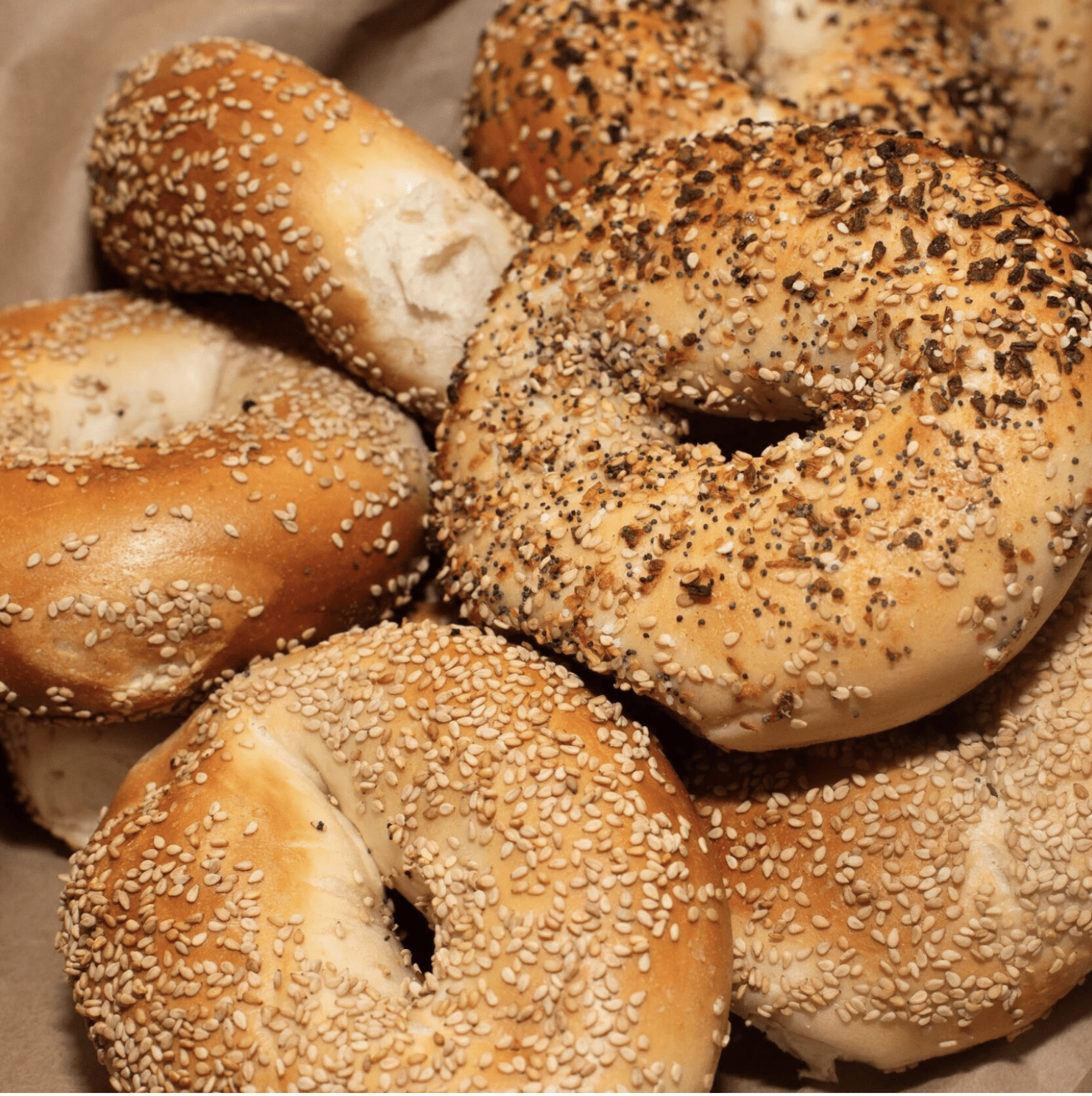 Bagels and Cream Cheese (YK-DW)