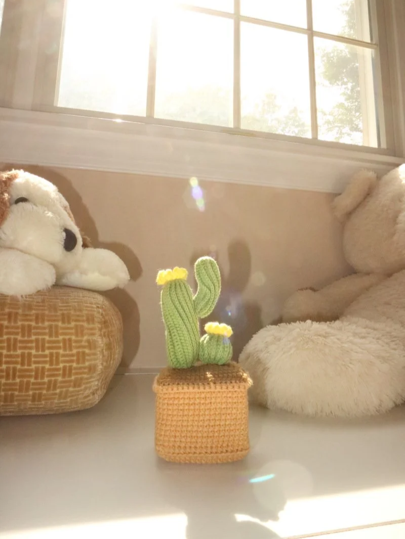 Desert Duo Planter