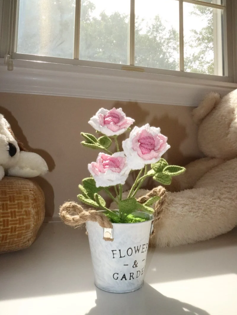 Triple Pink Rose Pail