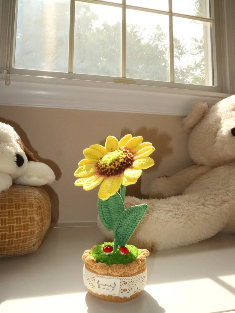 Sunflower Meadow Sprout