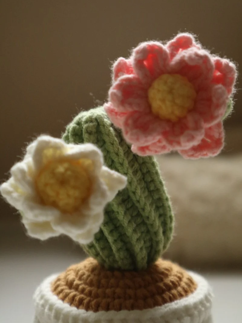 IMG_2012.png