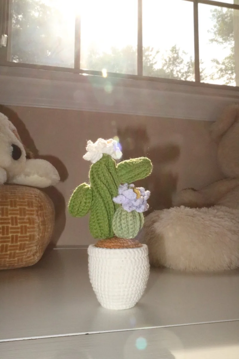 Blooming Saguaro Pot