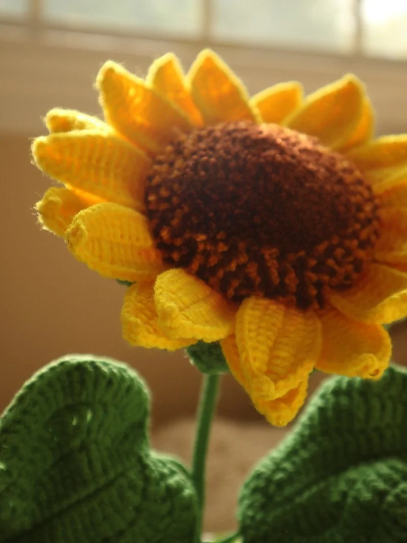 IMG_1964.png
