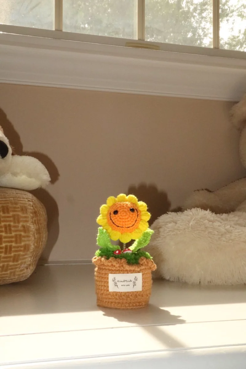 Sunny Smiles Sprout