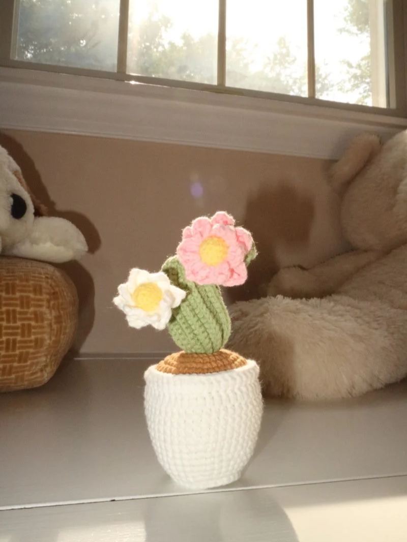 Blooming Cardon Pot