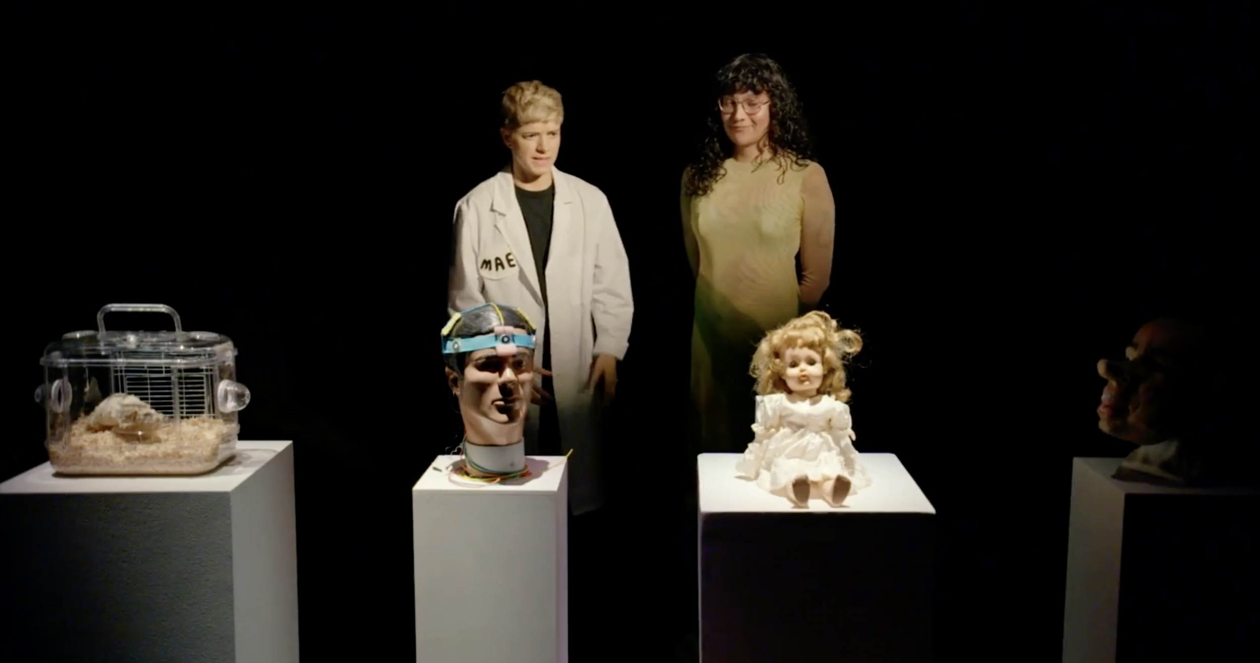 Art exhibit with various sculptures, including a doll with curly hair and a dress, a head with a colorful headband, and a small animal enclosure, displayed on white pedestals against a black background.