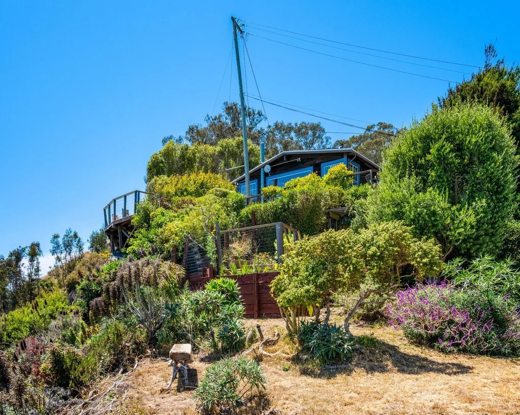House on a hillside surrounded by lush green trees and colorful bushes, with a clear blue sky overhead.