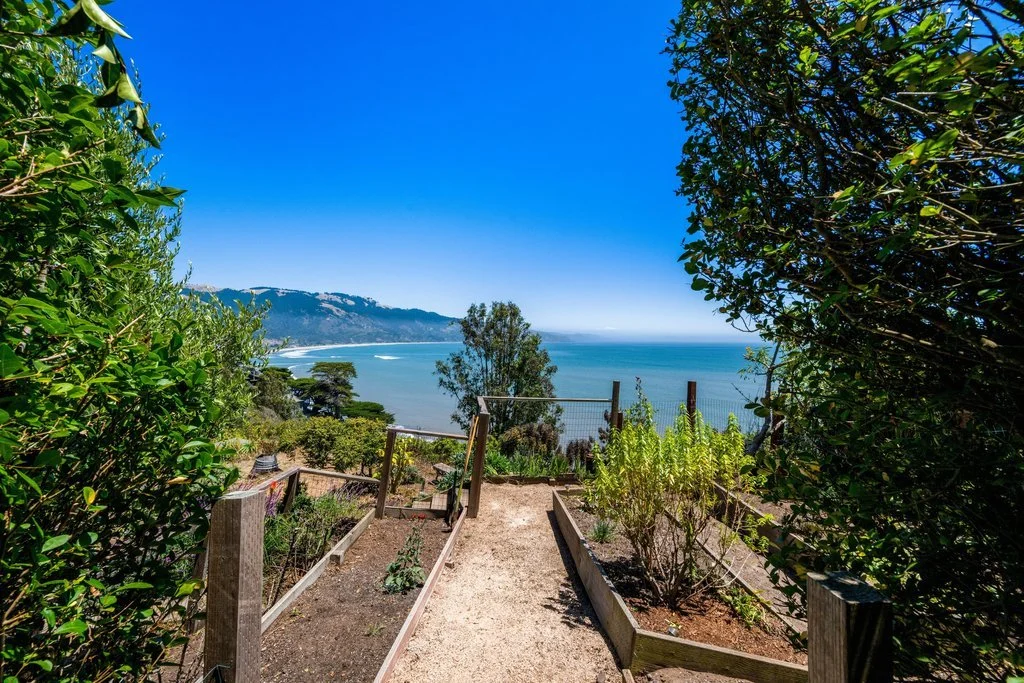 Pathway leading to a fence with a view of the ocean and coastline, surrounded by lush green bushes and trees under a bright blue sky.