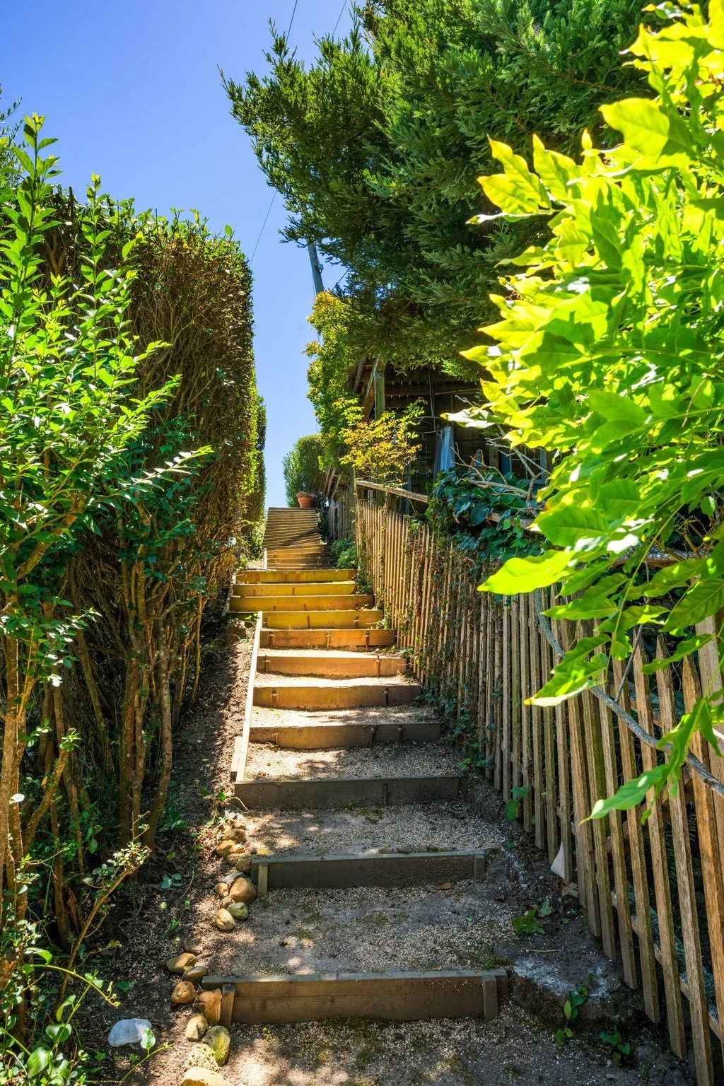 Wooden staircase ascending through lush green bushes and trees, with a blue sky overhead.