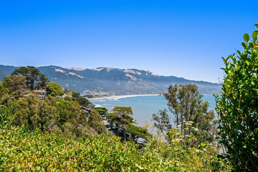 Scenic view of a coastal landscape with lush green trees, houses, and a beach with gentle waves under a clear blue sky.