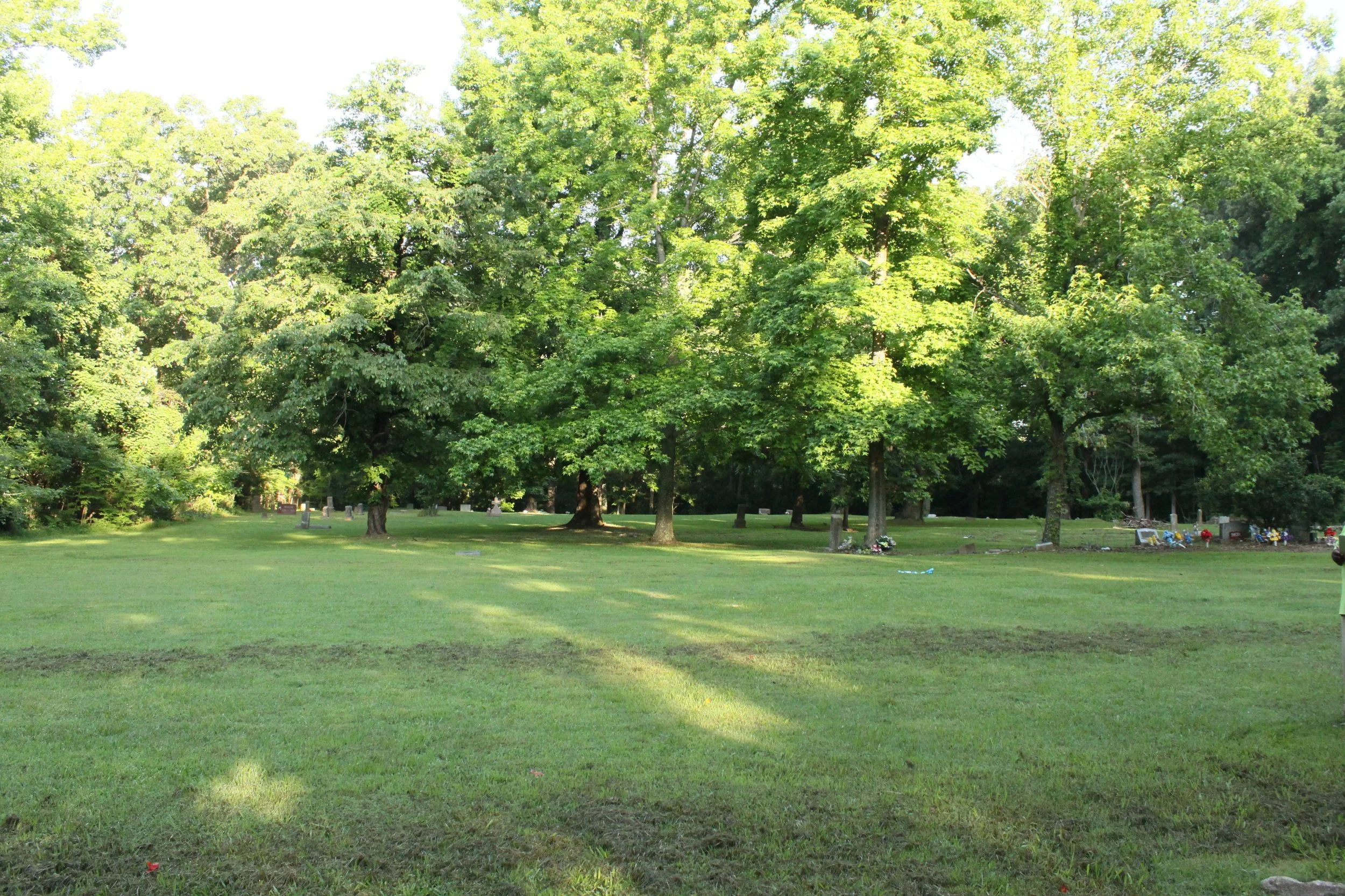 A green park with large trees and a well-maintained grassy field, with some graves and flowers on the right side.