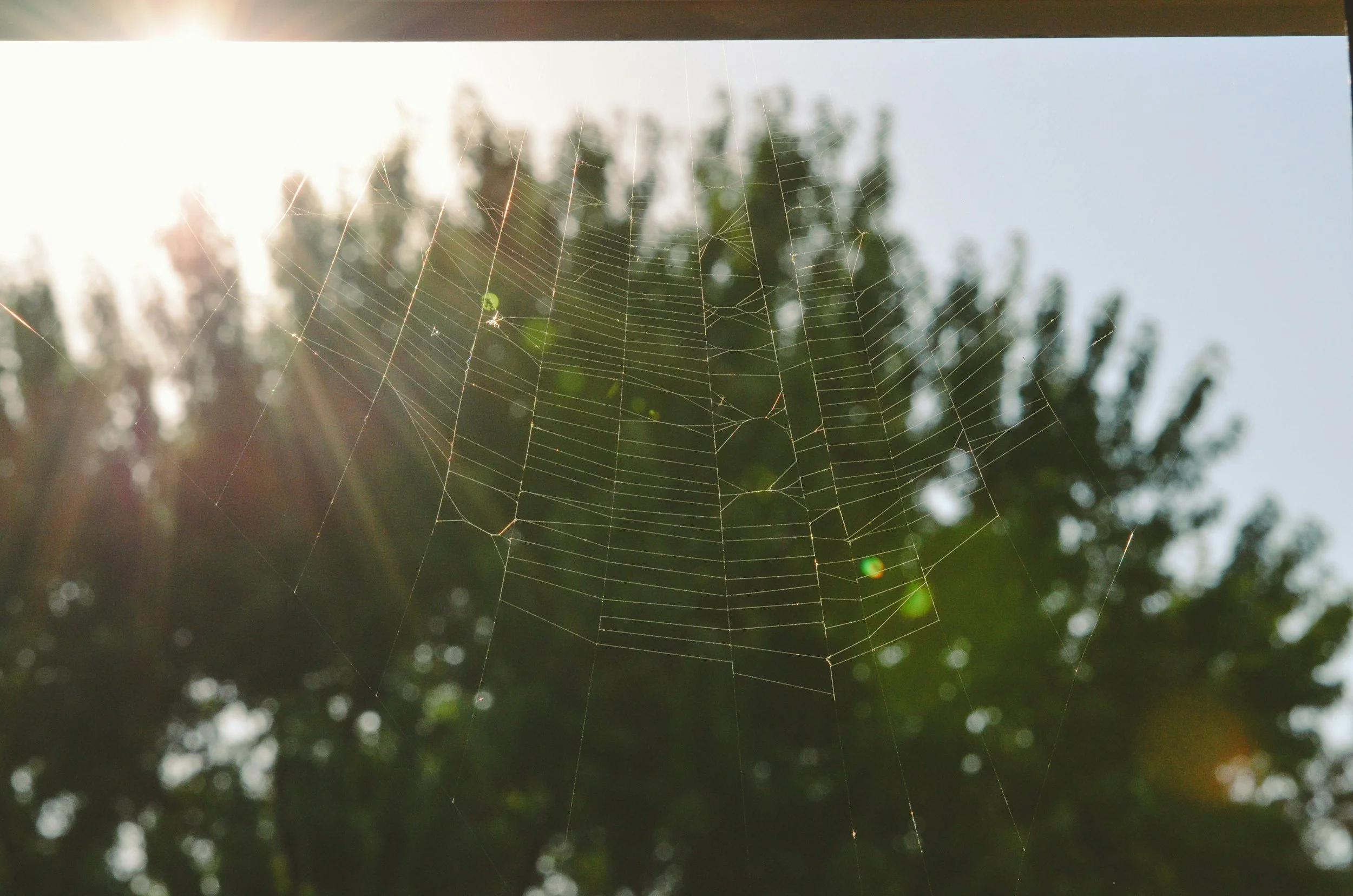 Reweaving