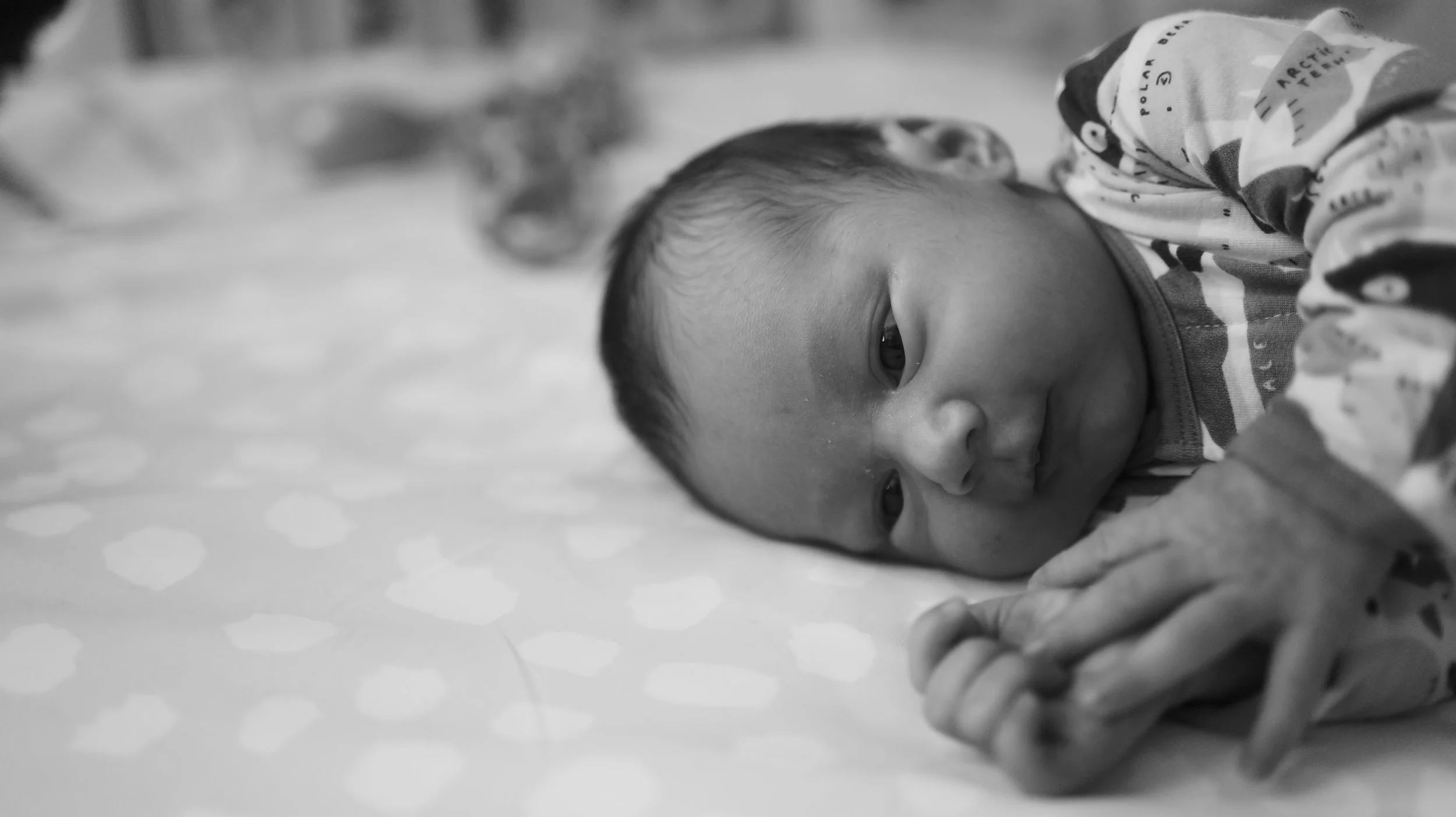 P1074073_lab.JPG