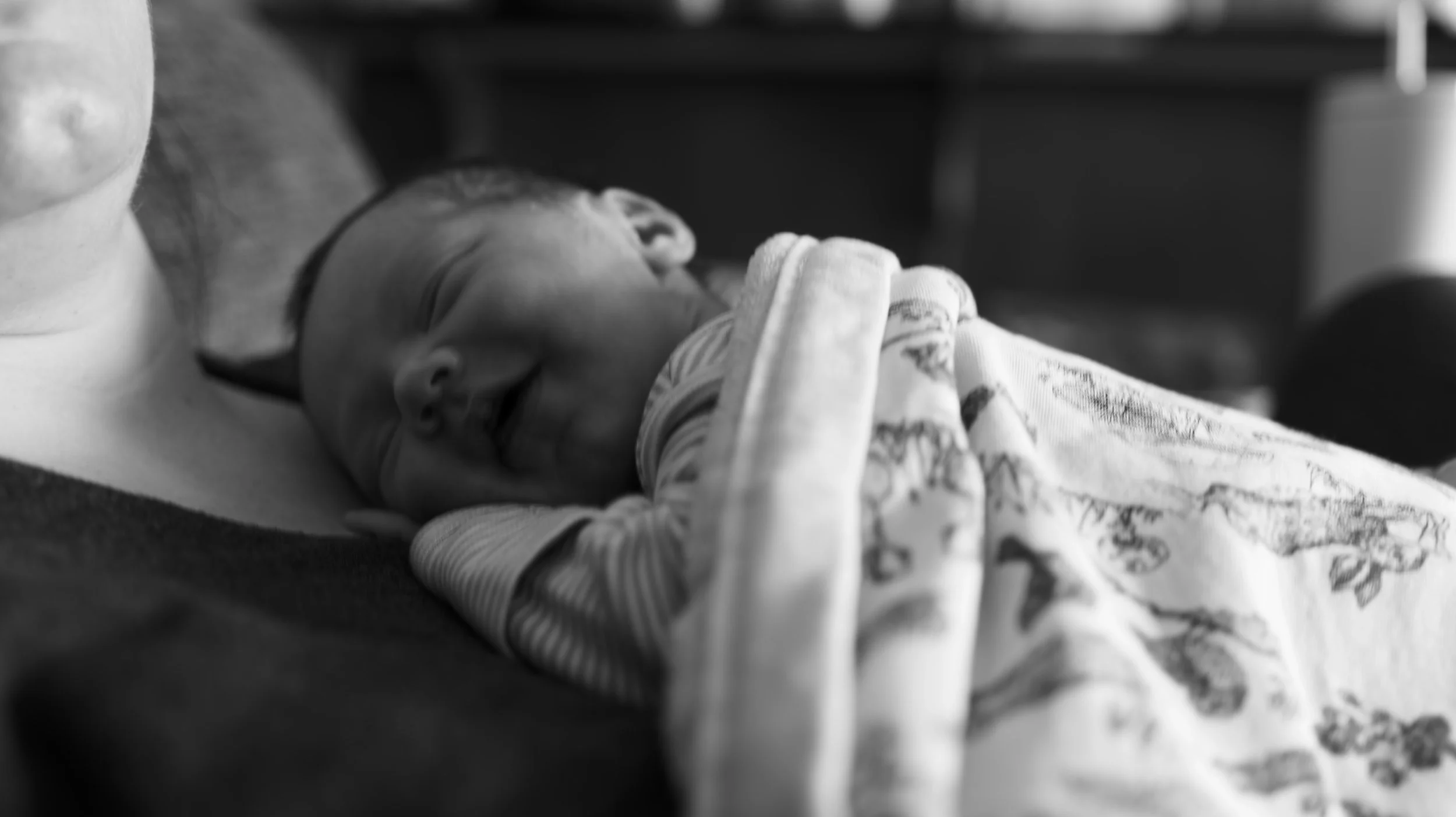 P1073946_lab.JPG