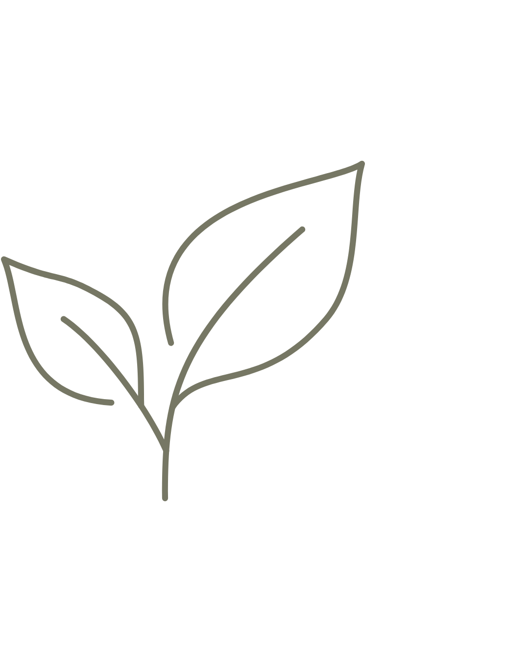 Line drawing of a plant with three leaves on a stem, minimalist style.