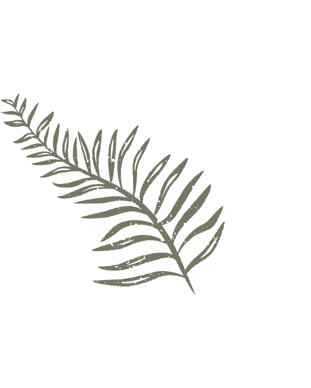 A simple illustration of a green plant leaf with multiple slender leaflets on a black background.