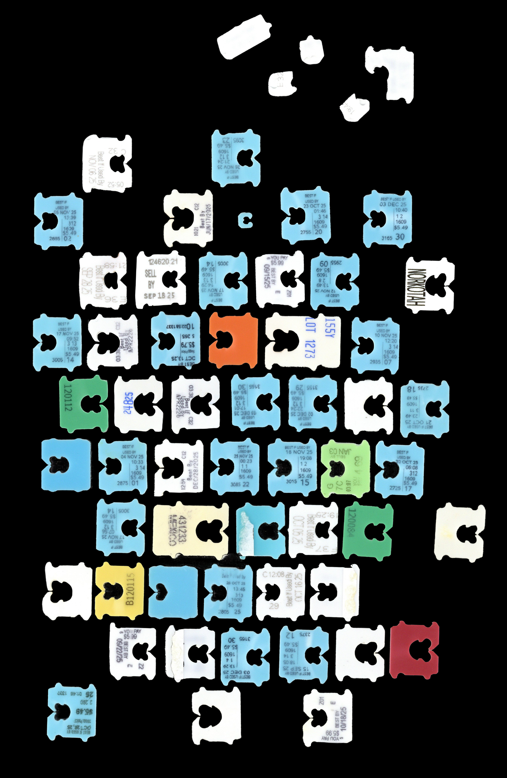 occlupanids.png