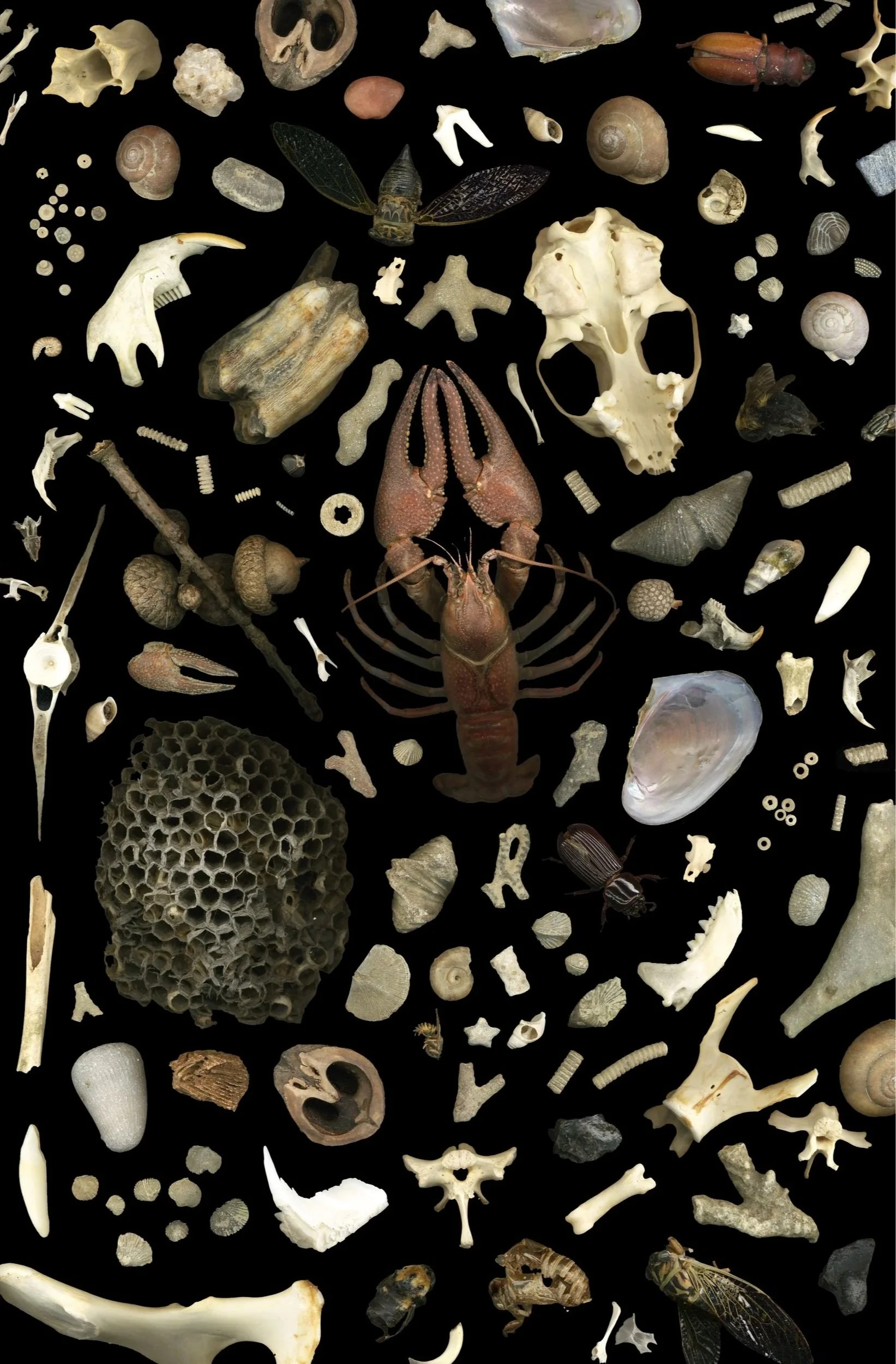 nature-flatlay+2.jpg