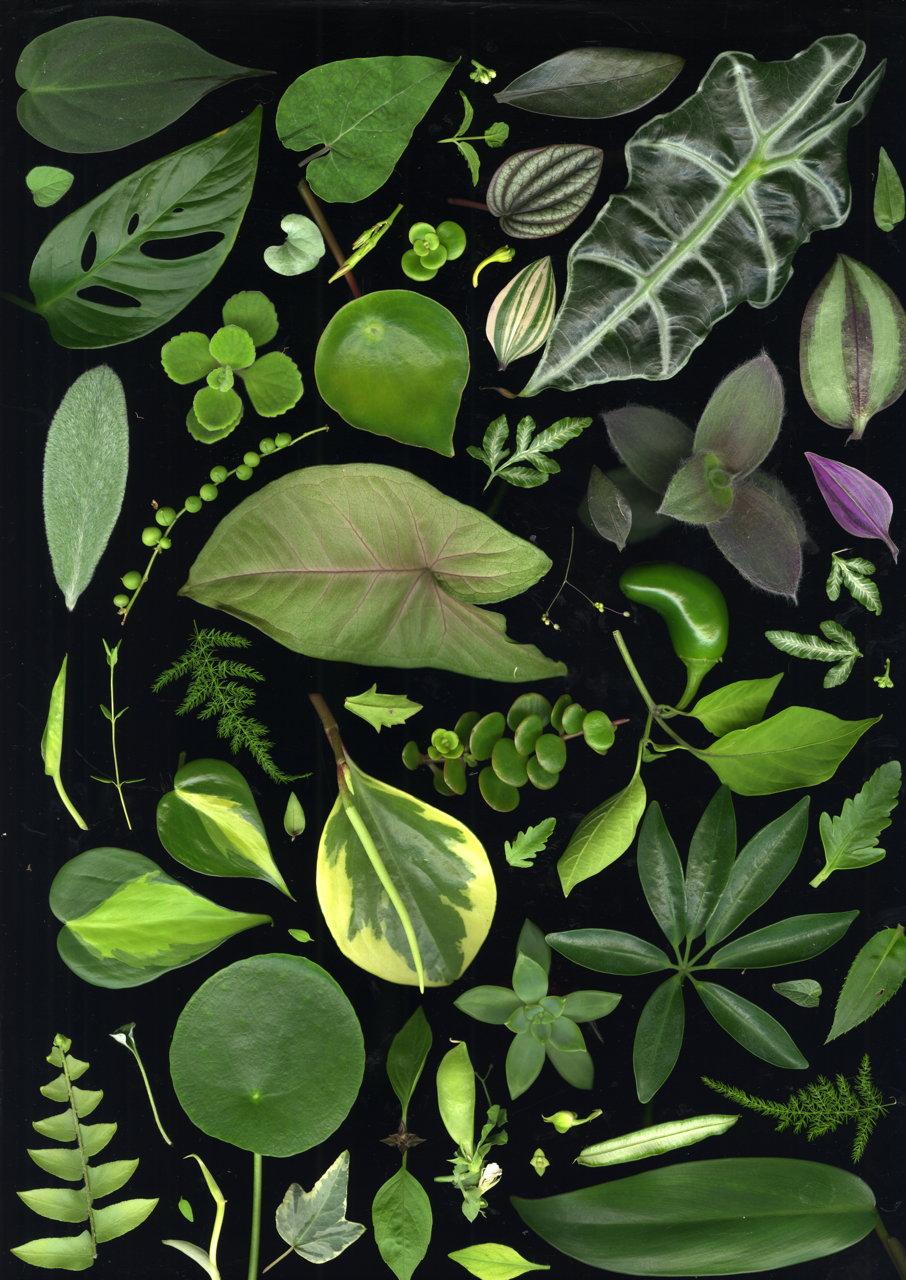 img20260706_18231435 Large.png