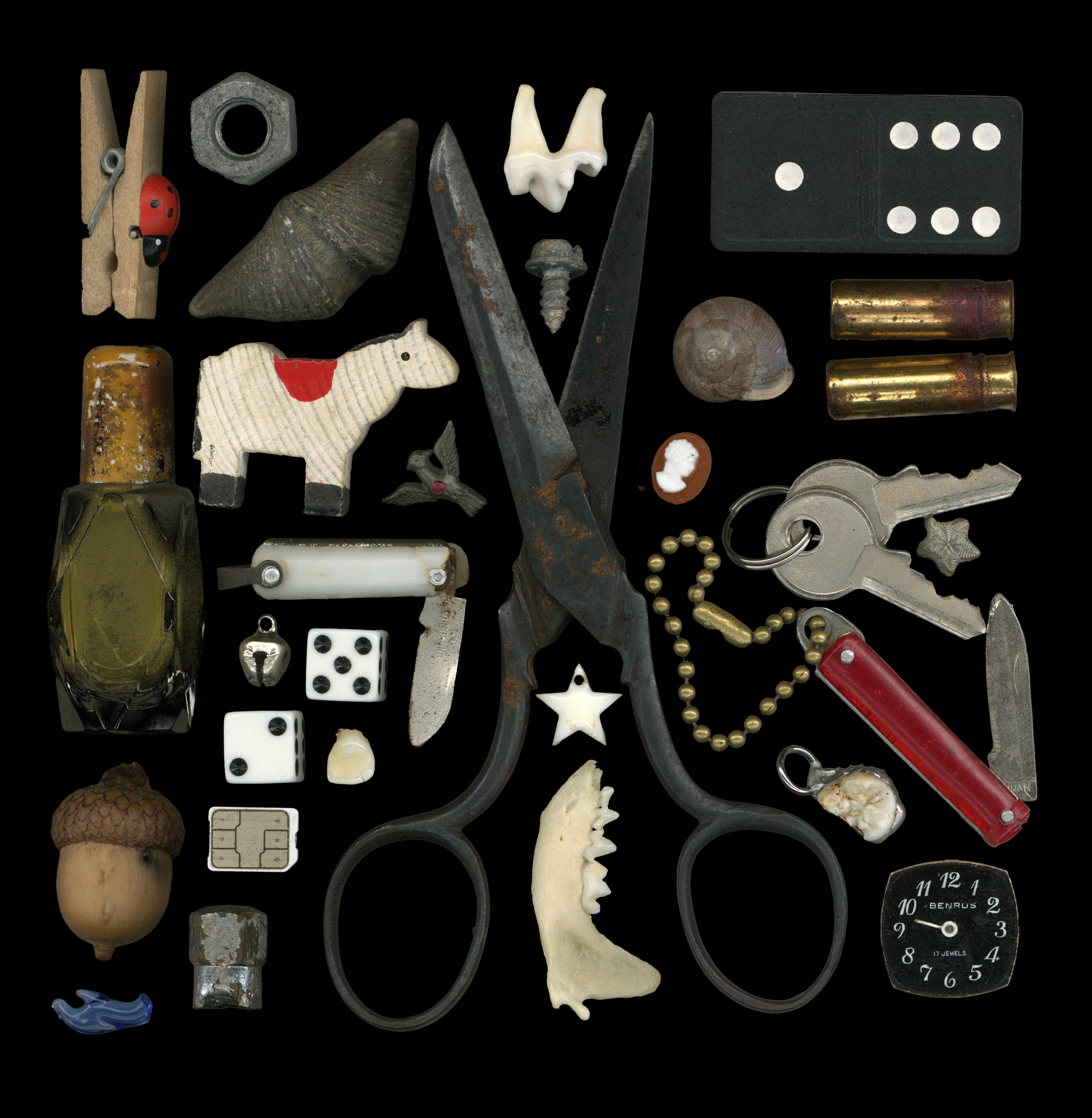 Collection of vintage items including a toy ladybug on a clothespin, a large shell, a small plush sheep, a clock, bullets, dice, various bones, a key, a broken watch, and other miscellaneous objects on a black background.