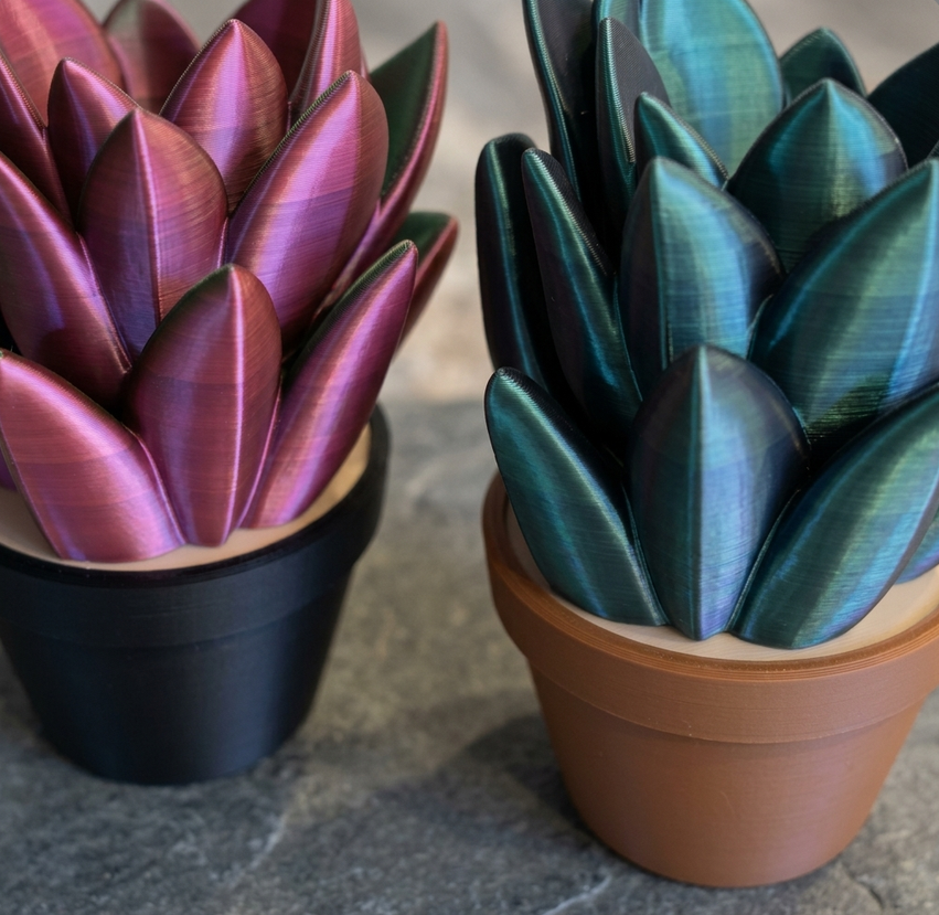 Succulent 4.png