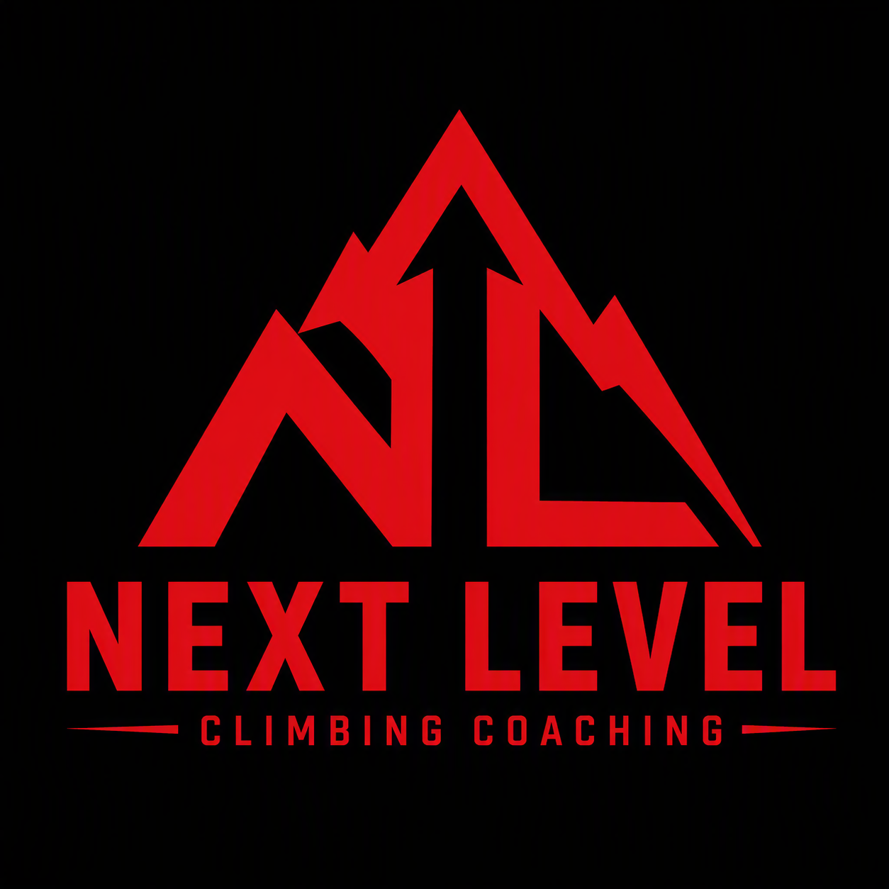 Next Level Climbing Coaching