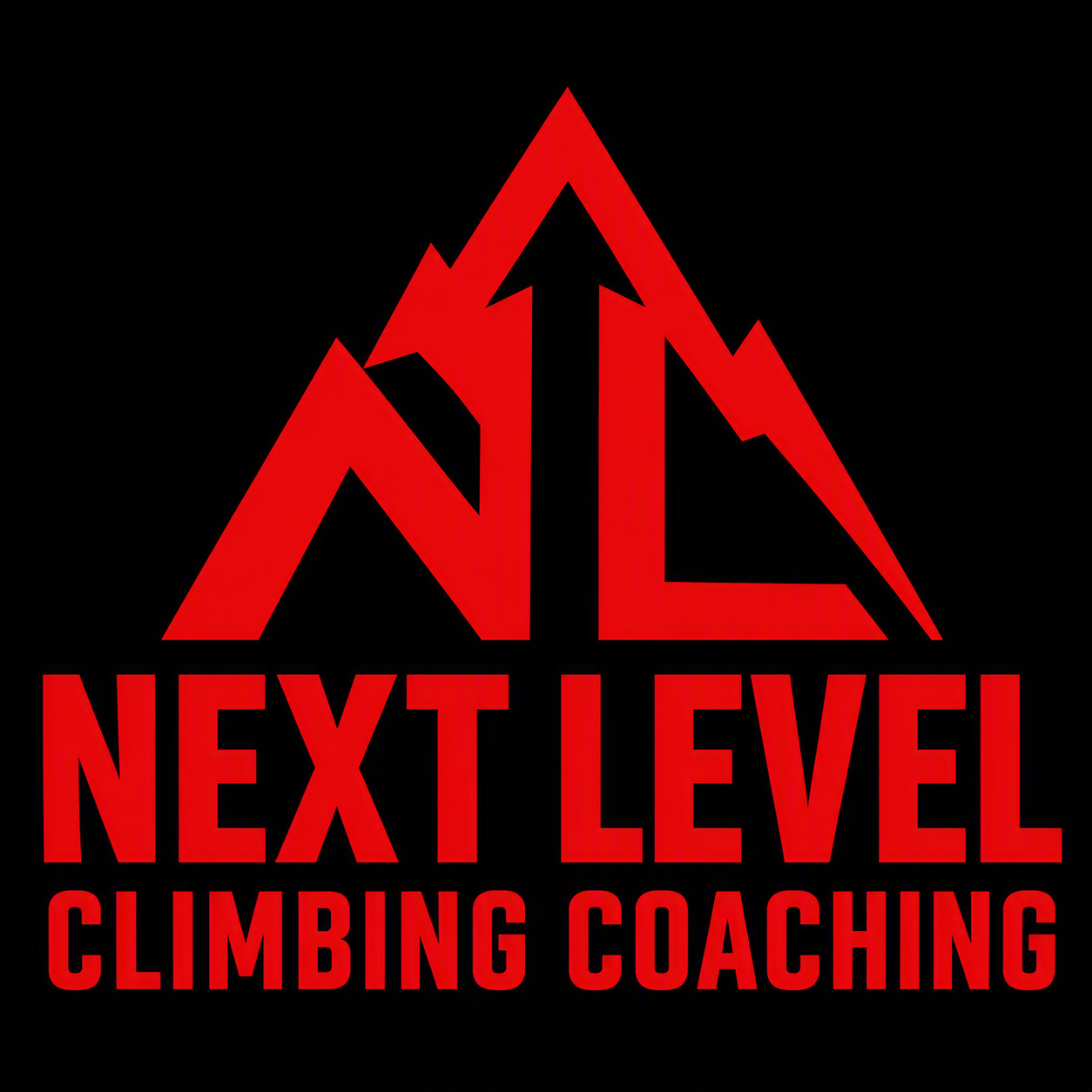 Next Level Climbing Coaching