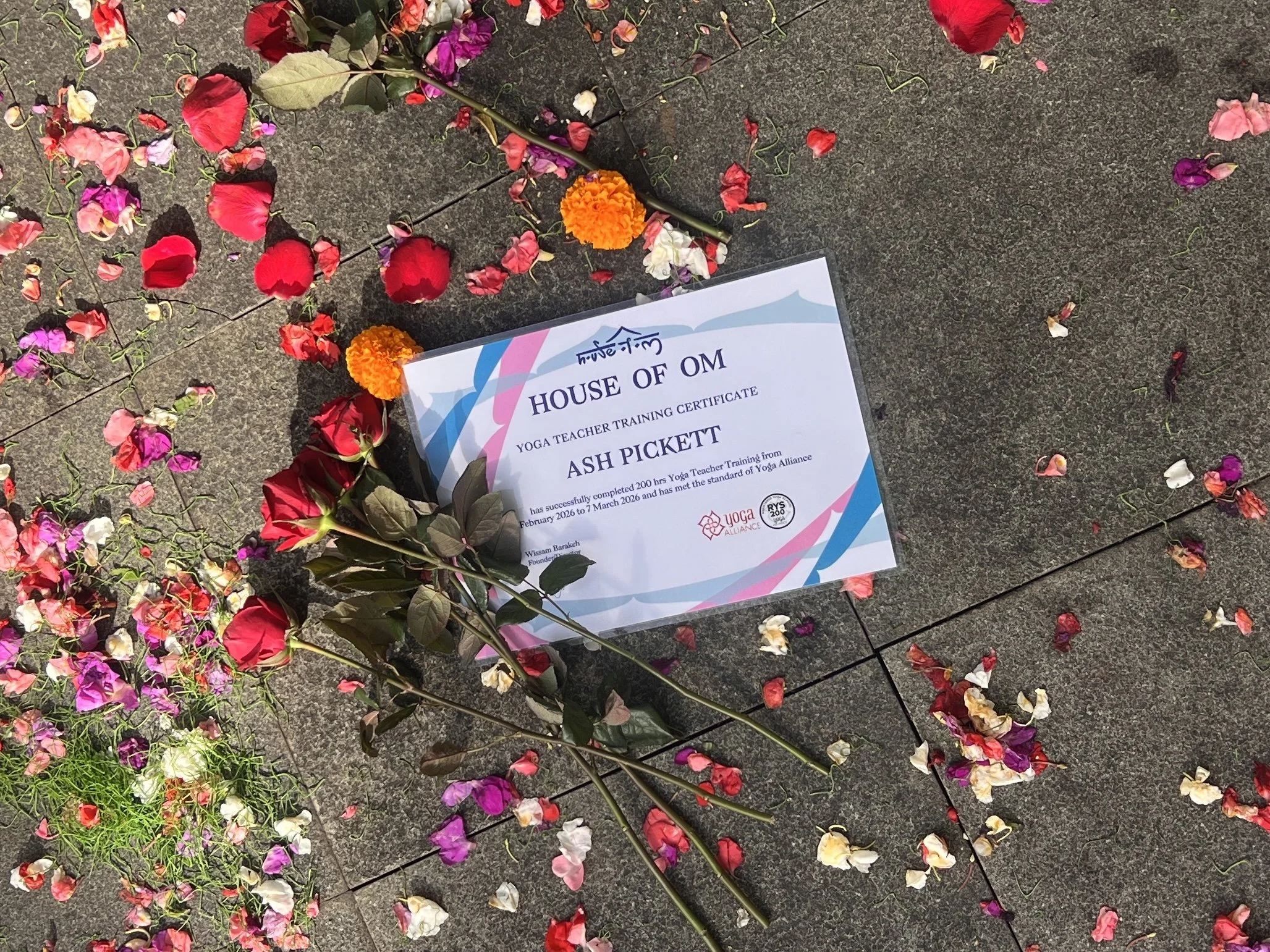 Colorful flower petals and stems arranged on a concrete surface next to a certification paper from House of OM for Ash Pickett, a yoga teacher training course, with scattered rose petals around.