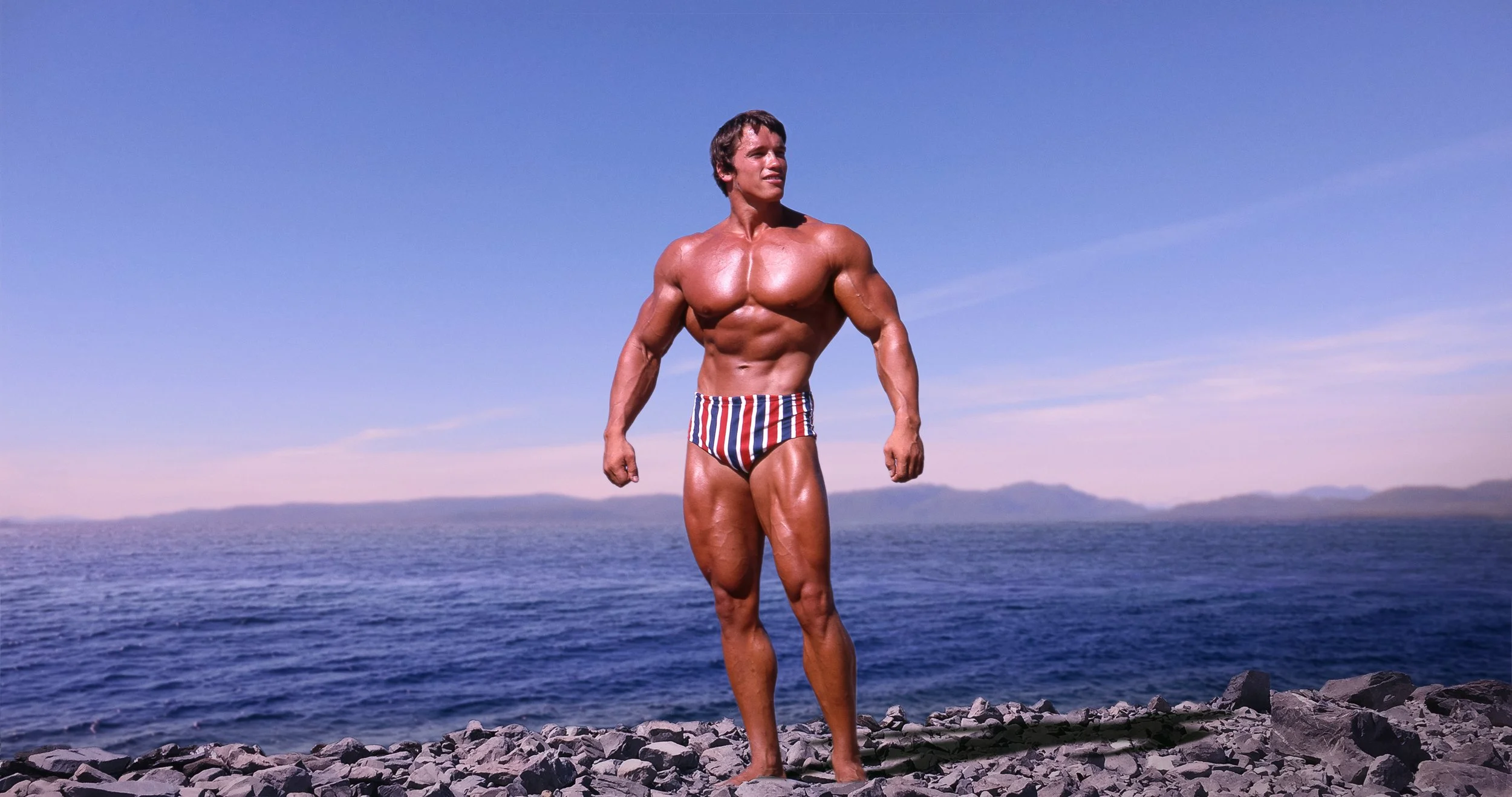 ARNOLD#universal-base_na_03_zxx.jpg