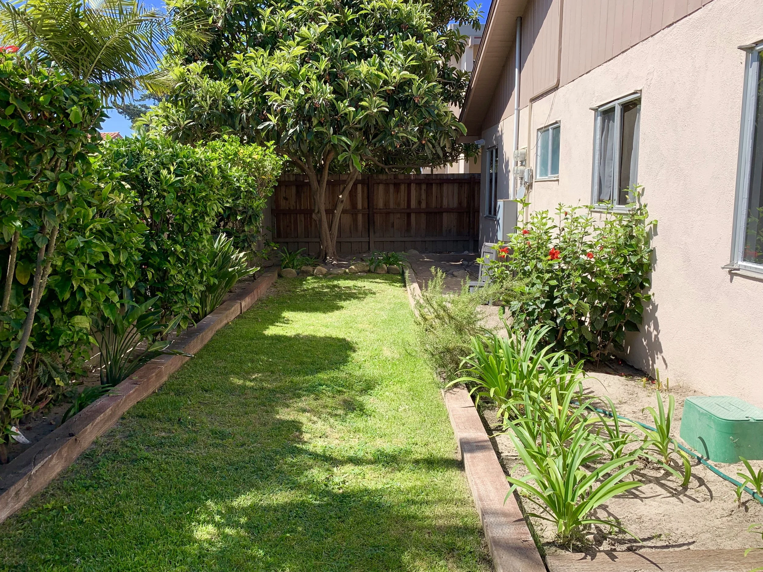 A backyard with green grass, various plants, a tree, a wooden privacy fence, and a building with beige exterior walls and several windows.