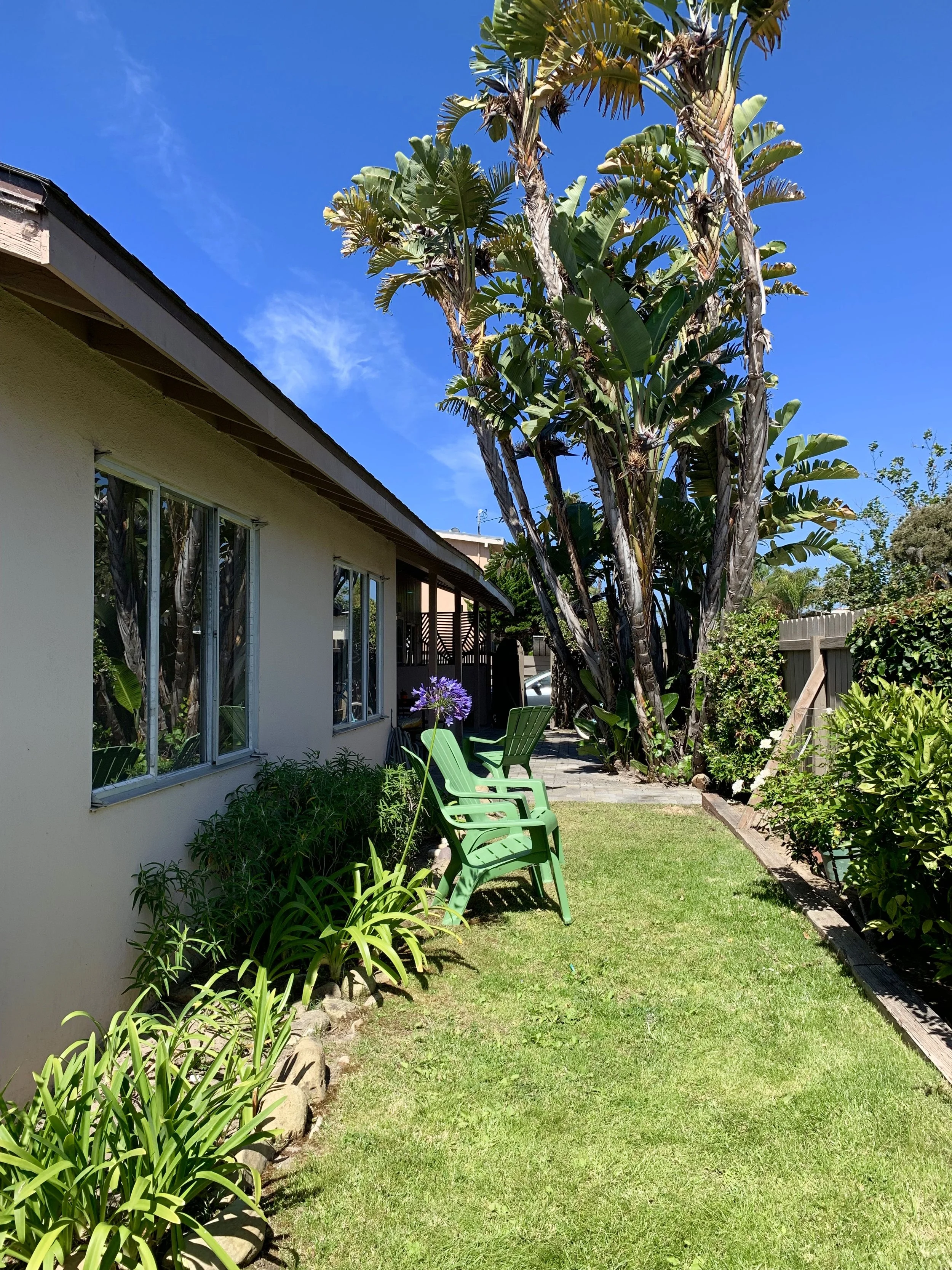 A backyard with green grass, plants, and trees next to a house with large windows, under a clear blue sky.