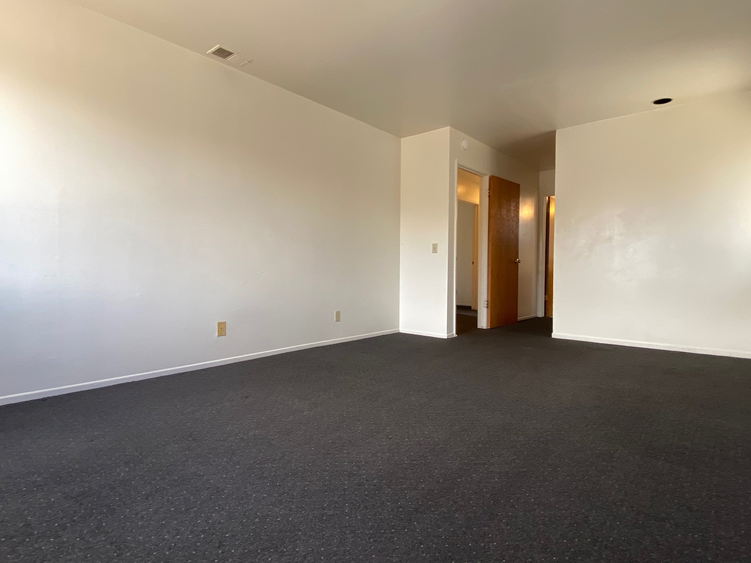 Empty room with white walls, gray carpet, and open wooden door leading to another room.
