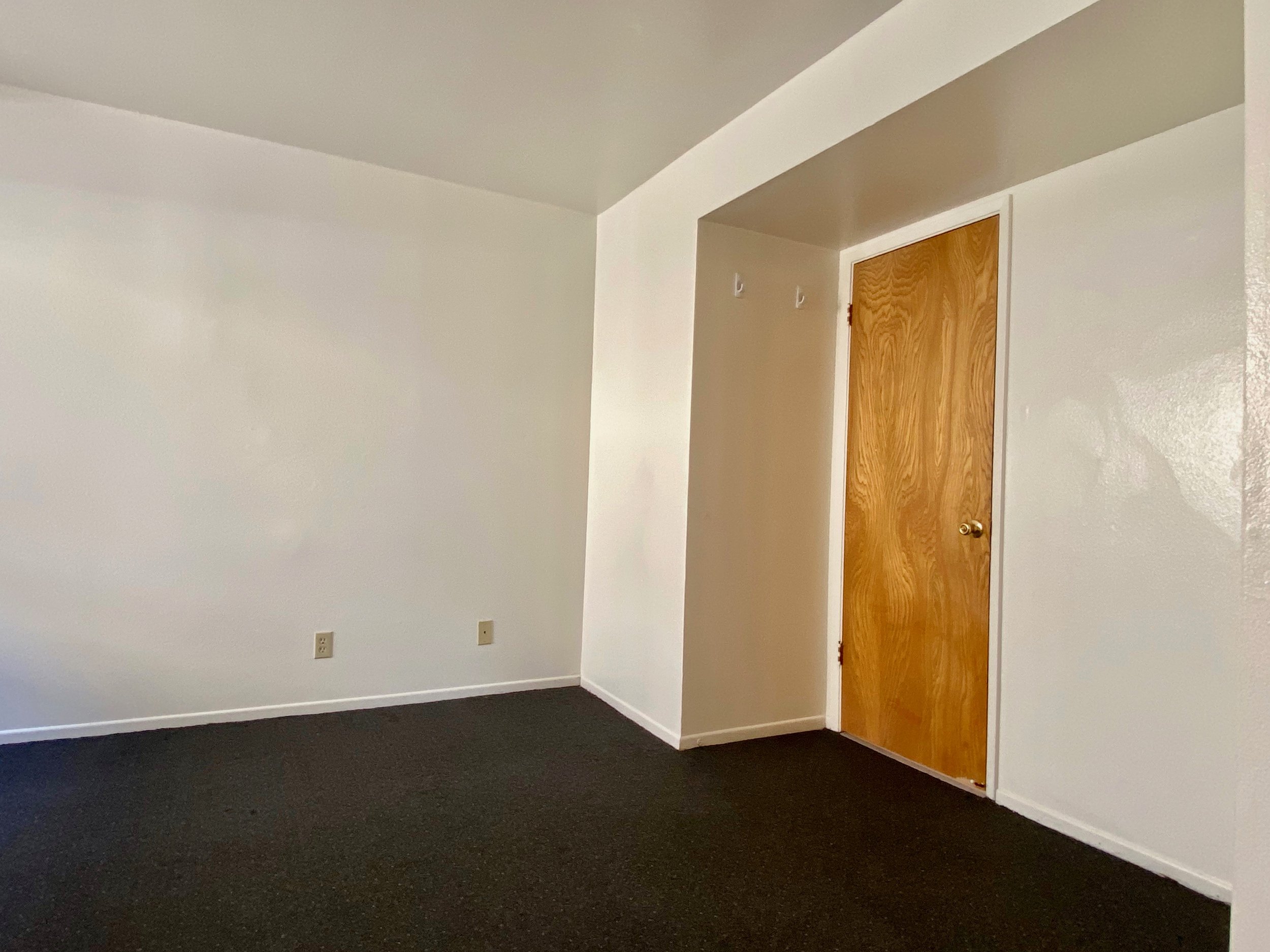 Empty room with white walls, a dark carpeted floor, a wooden door, and white hooks on the wall.