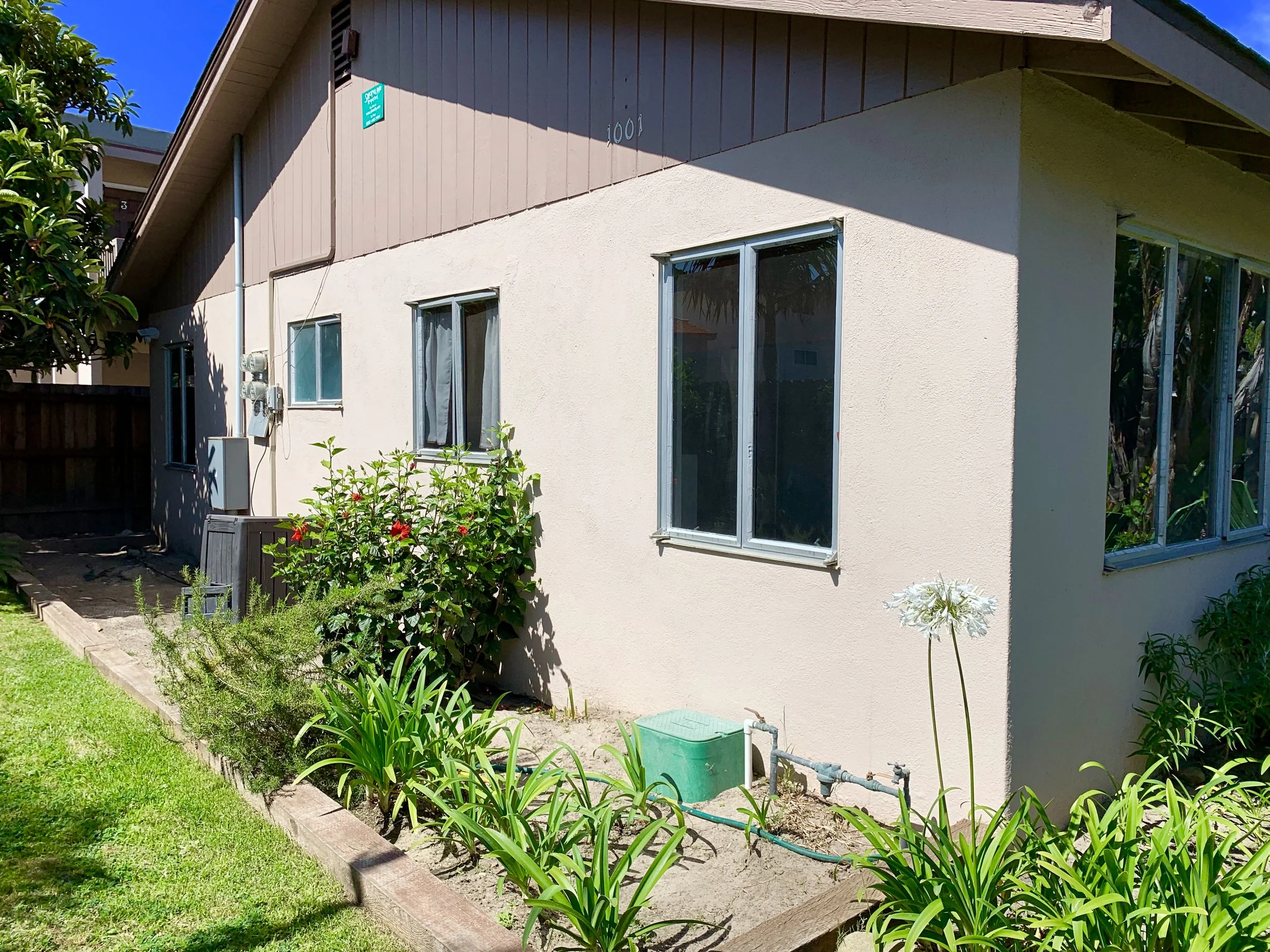 The back of a two-story house with beige exterior walls, several windows, some with curtains, and a sloped roof. There is a small green garden bed with flowering plants and greenery in front of the house, with a grassy lawn and a blue sky in the back
