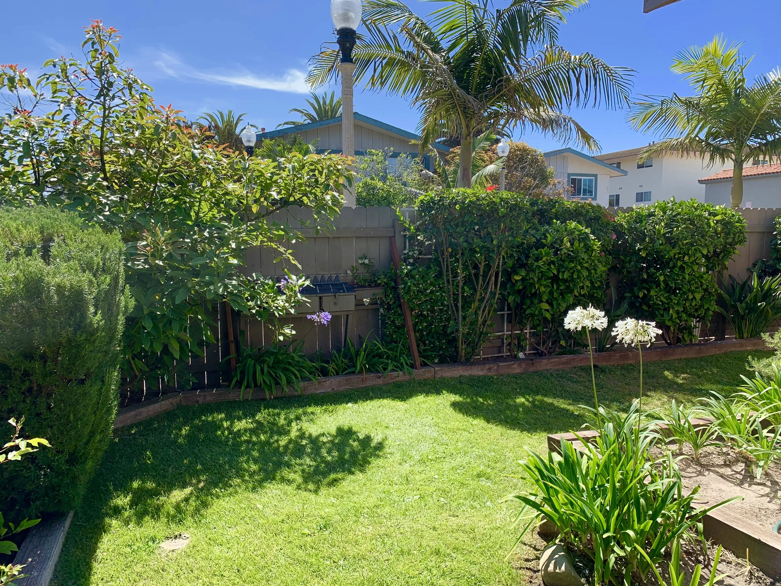 A backyard garden with green grass, various plants, and trees in front of houses with blue sky and clouds.