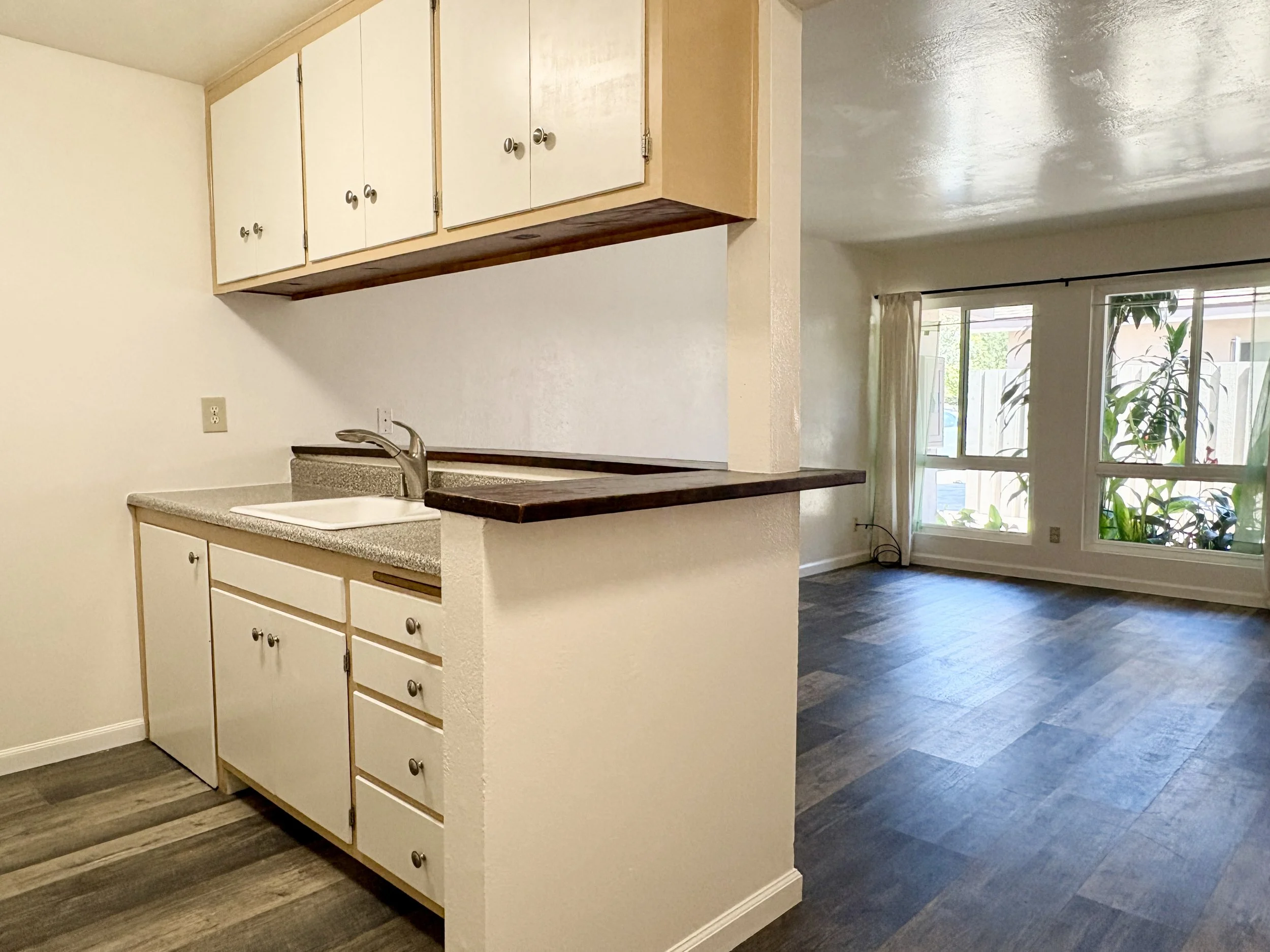 Kitchen with white cabinets, a granite countertop, and a stainless steel sink. An open living space with large windows and plants in the background, dark hardwood floors.