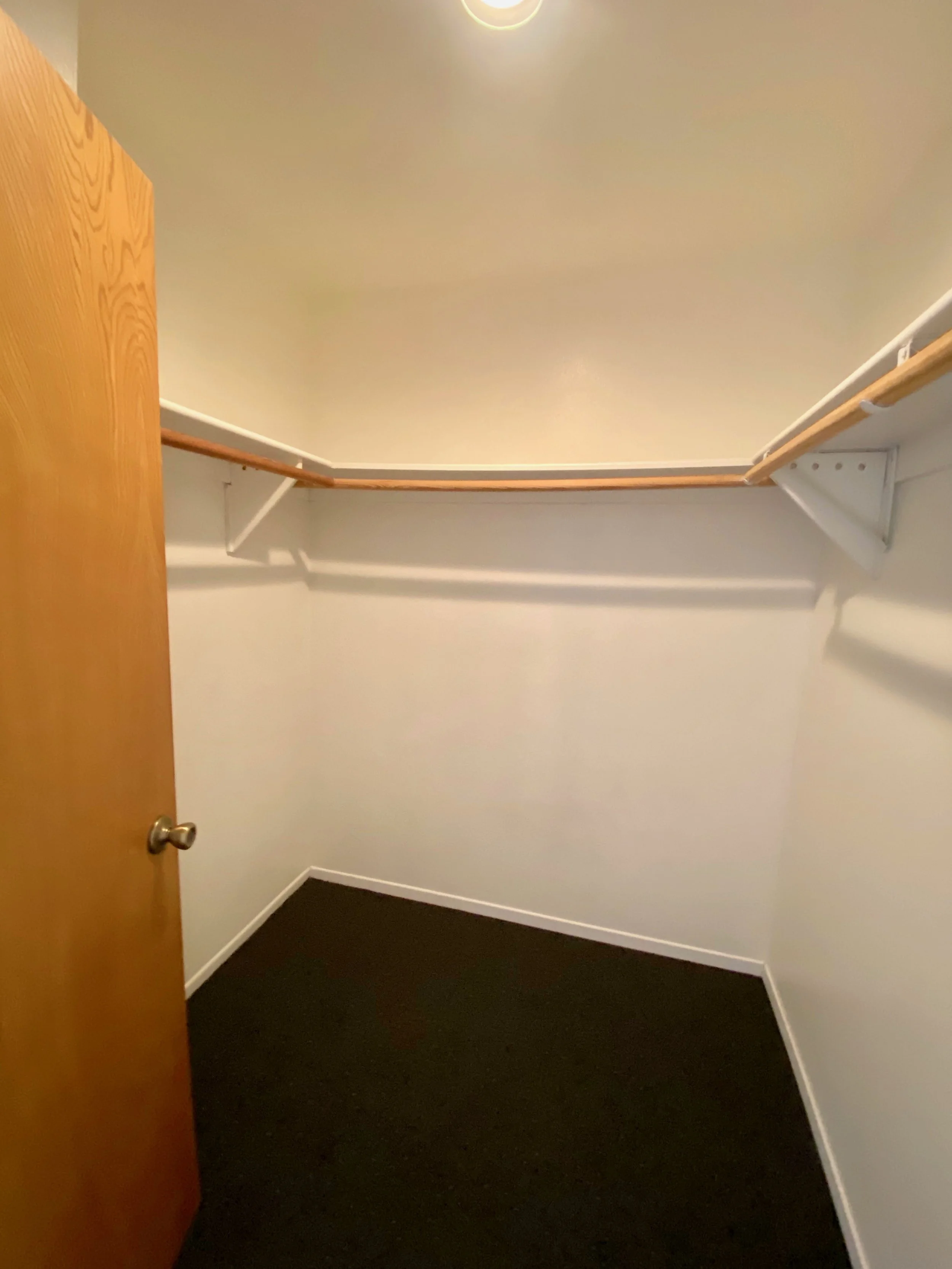 Empty walk-in closet with white walls, black carpet, a wooden shelf with a hanging rod, and a ceiling light fixture.