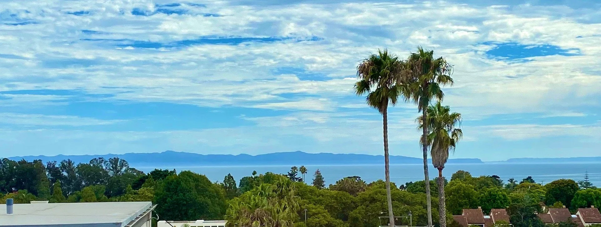 A coastal landscape featuring four tall palm trees, a blue sky with scattered clouds, and distant islands across the water.