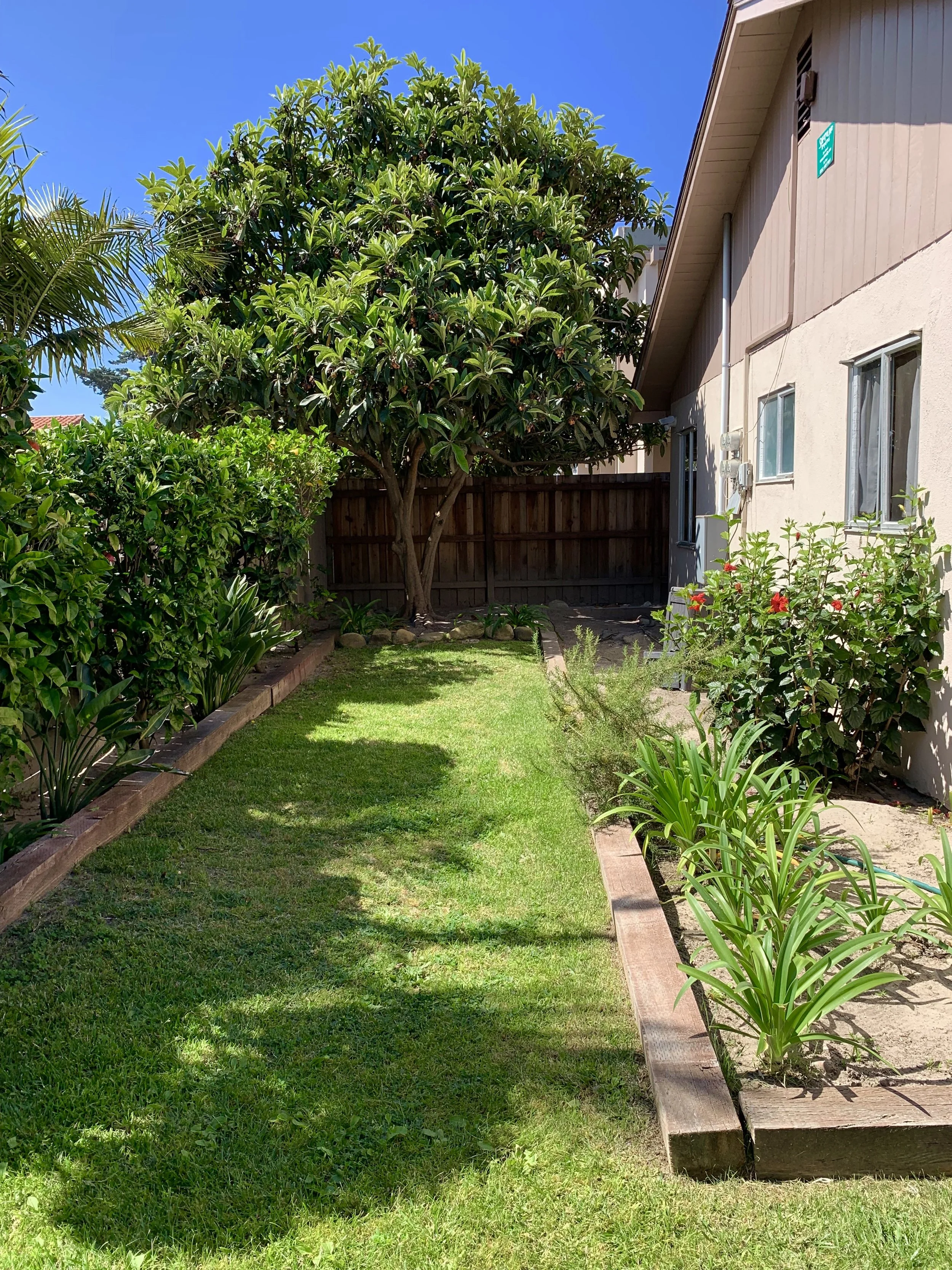 A backyard garden with a lush green lawn, a tall trimmed tree, various plants and shrubs along a narrow flower bed, adjacent to a house with beige and brown exterior walls, windows, under a clear blue sky.