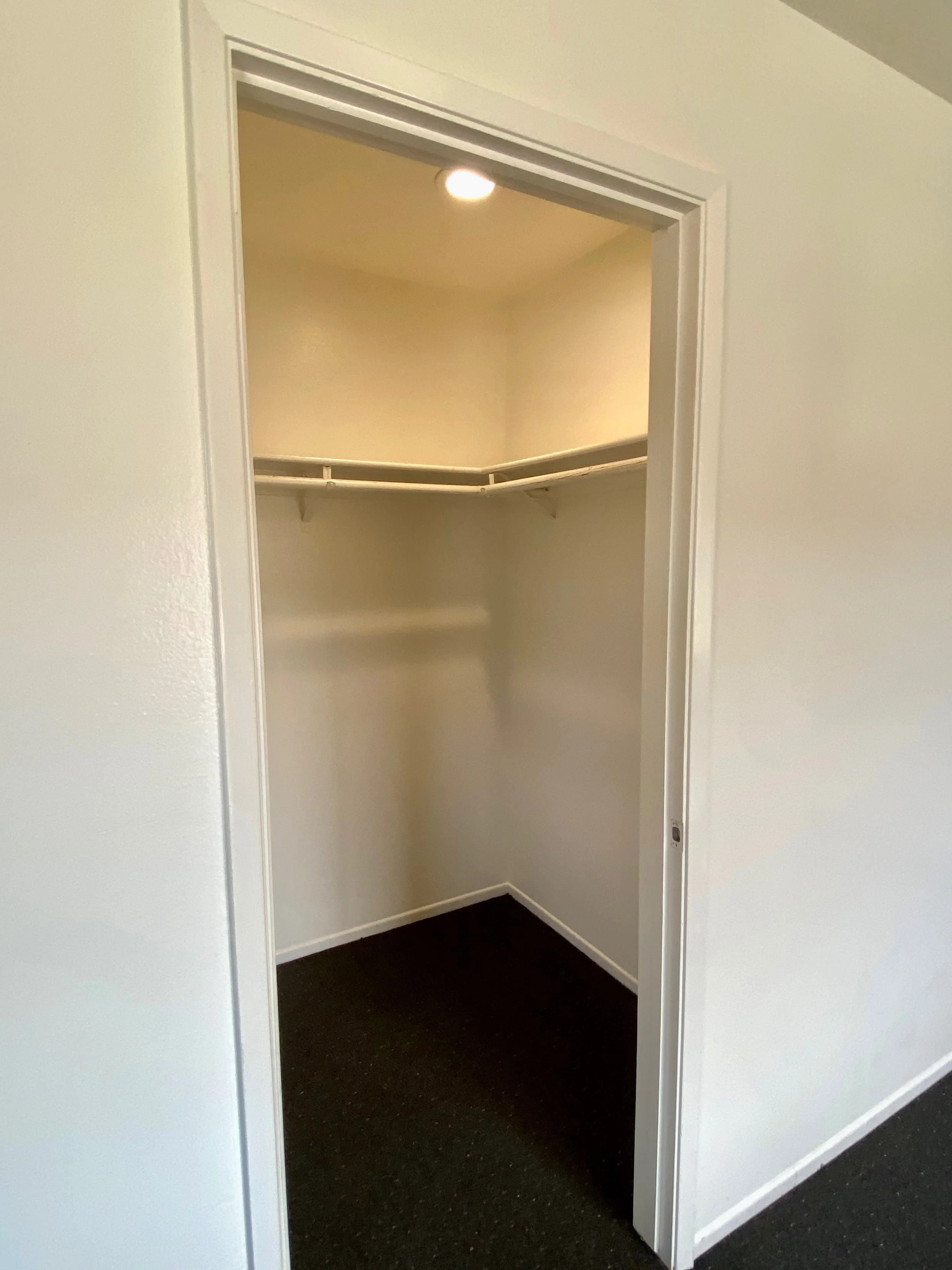 Empty walk-in closet with white walls, a shelf, and a black carpeted floor.