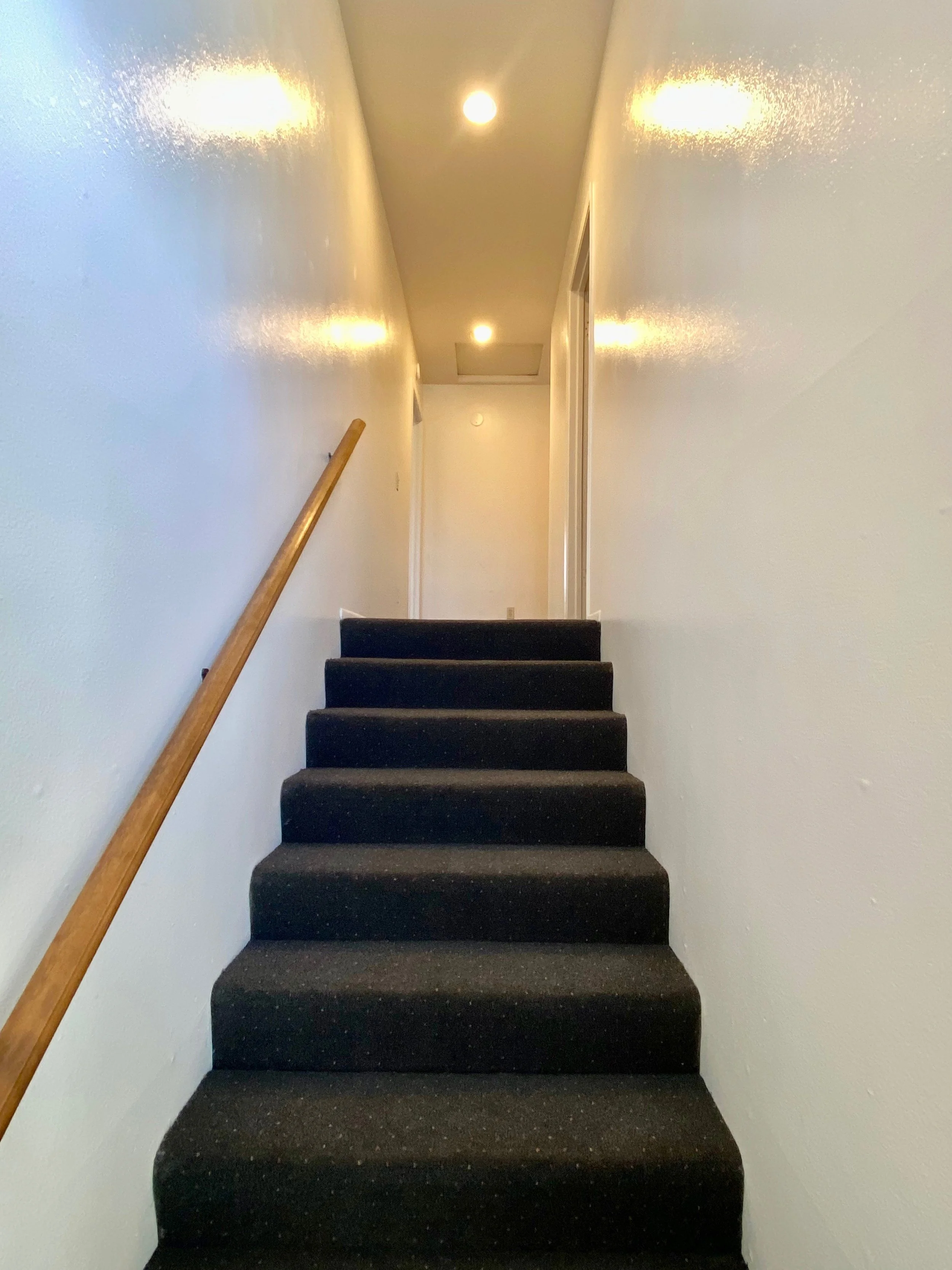 A staircase with dark carpeted steps, a wooden handrail on the left, white walls, and ceiling lights at the top.