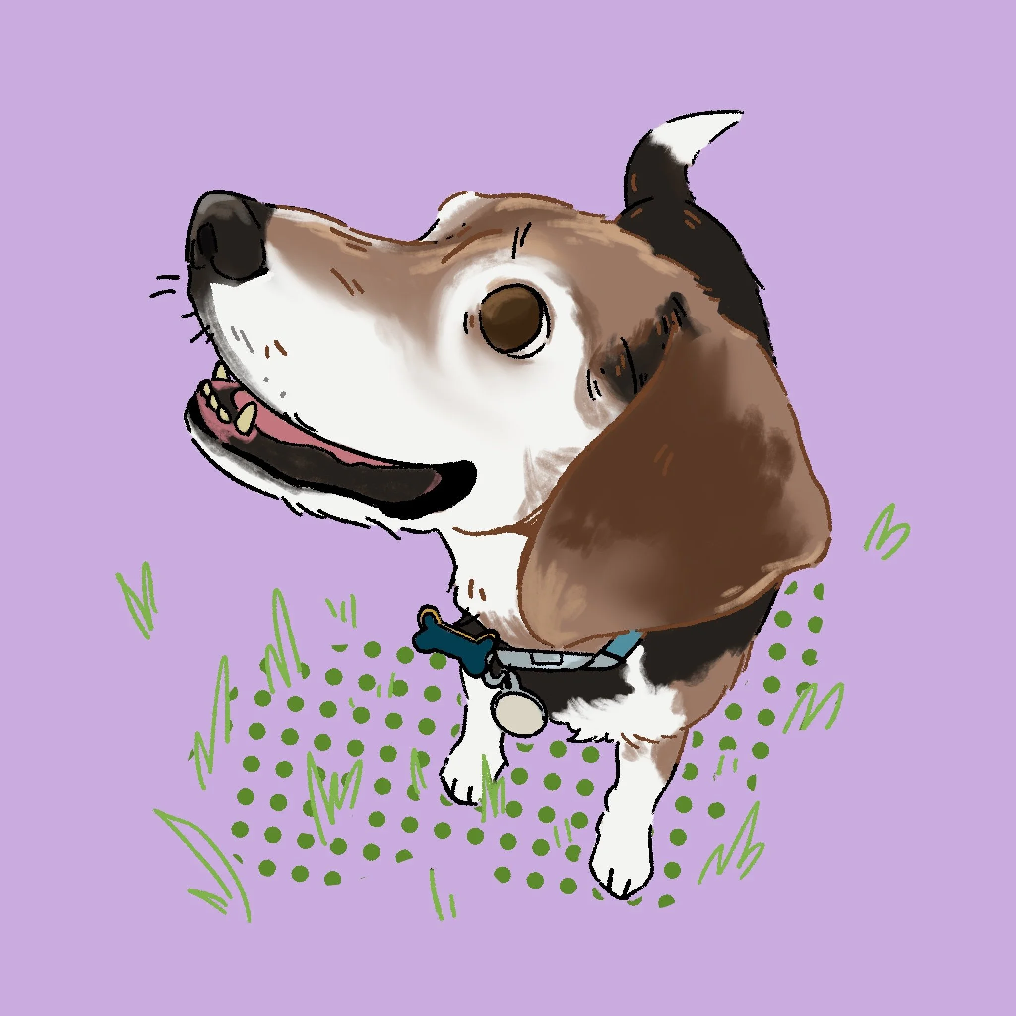 Human & Pet Portraits
