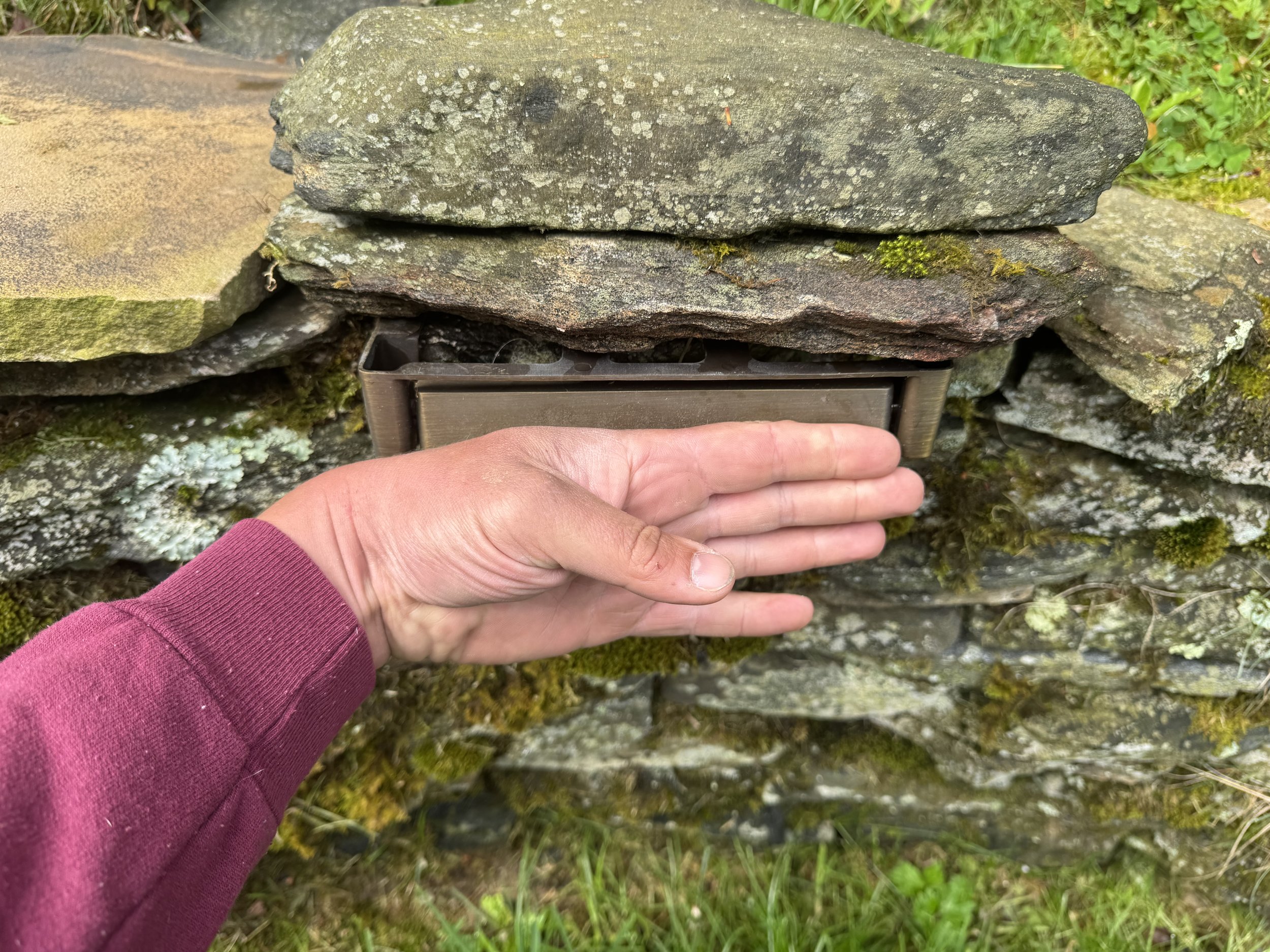 A person with a pink long sleeve shirt is holding a rectangular key fob or card in front of a stacked stone wall with moss and small plants.