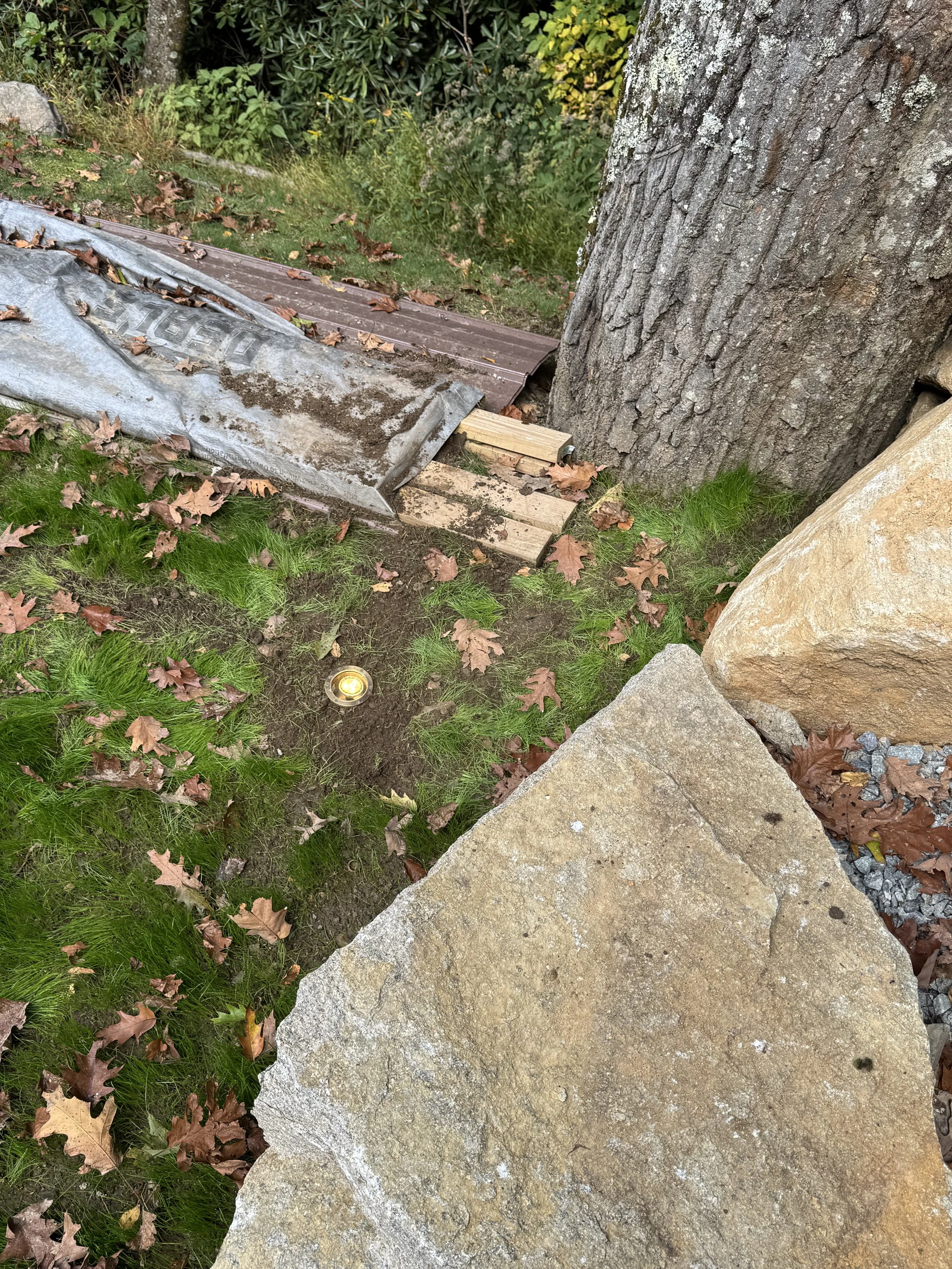 Close-up of a tree trunk with textured bark, adjacent to large stone blocks, with fallen autumn leaves and green grass on the ground.