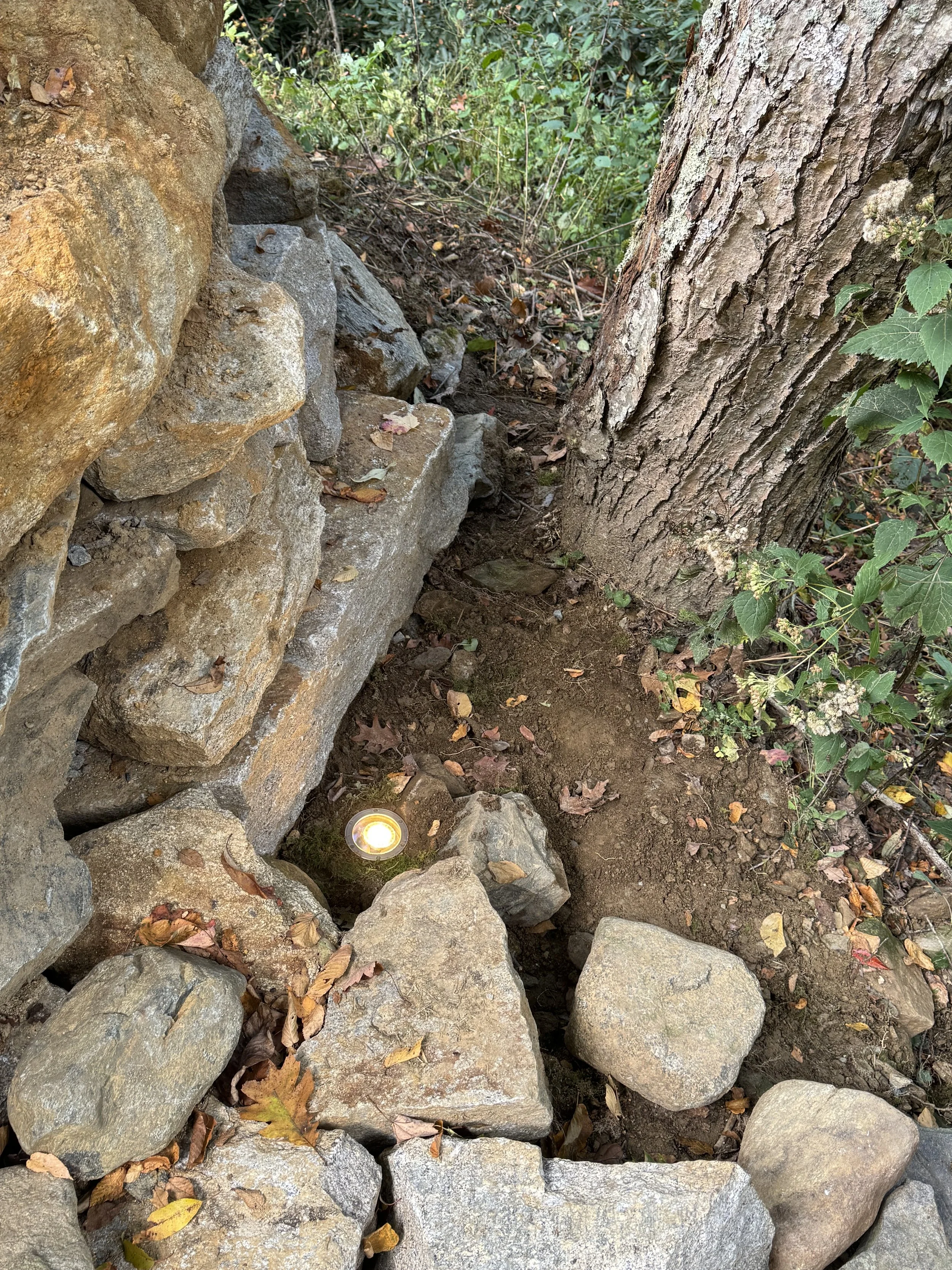 A small lit candle placed among rocks and stones on the ground next to a tree trunk, with leaves and greenery in the background.